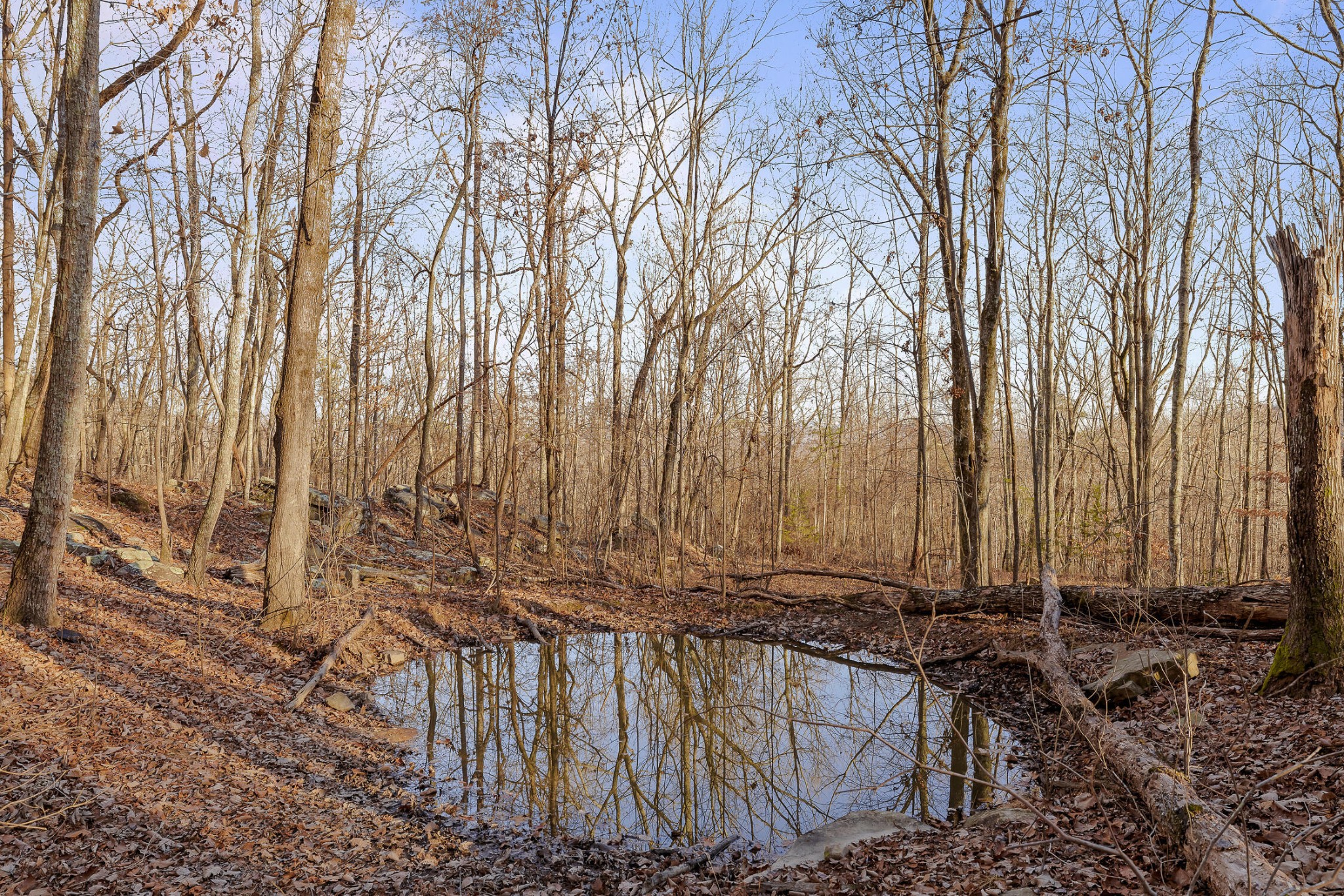 1158 Pryor Cove Road Property Photo 25