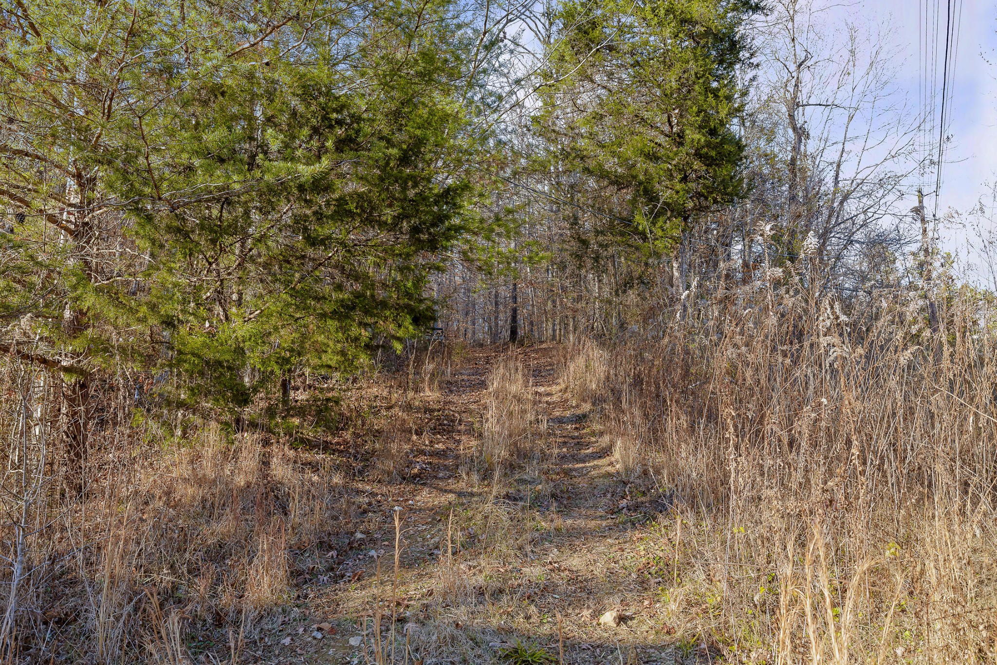 1158 Pryor Cove Road Property Photo 26