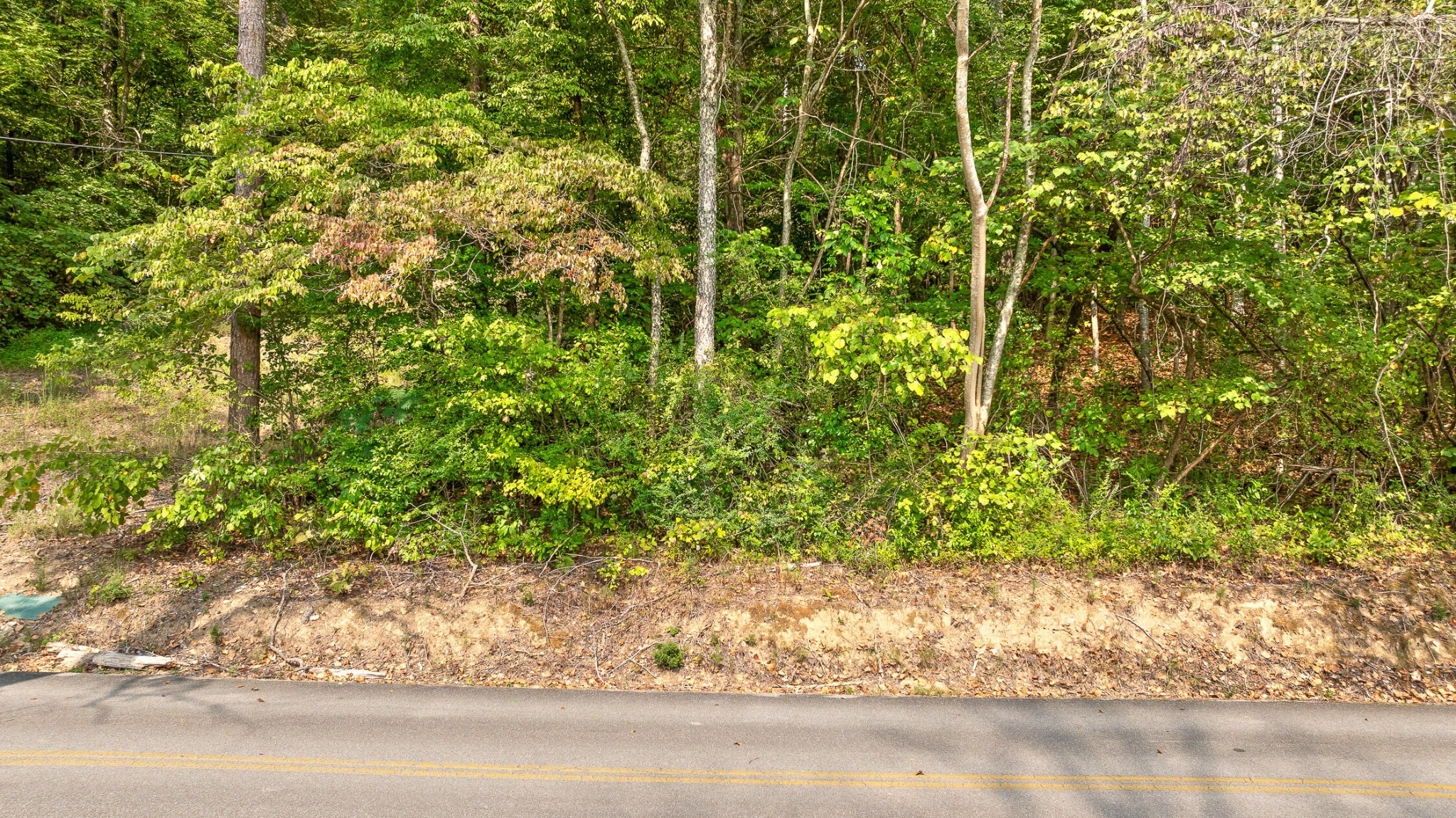 1 Blair Road Property Photo 15