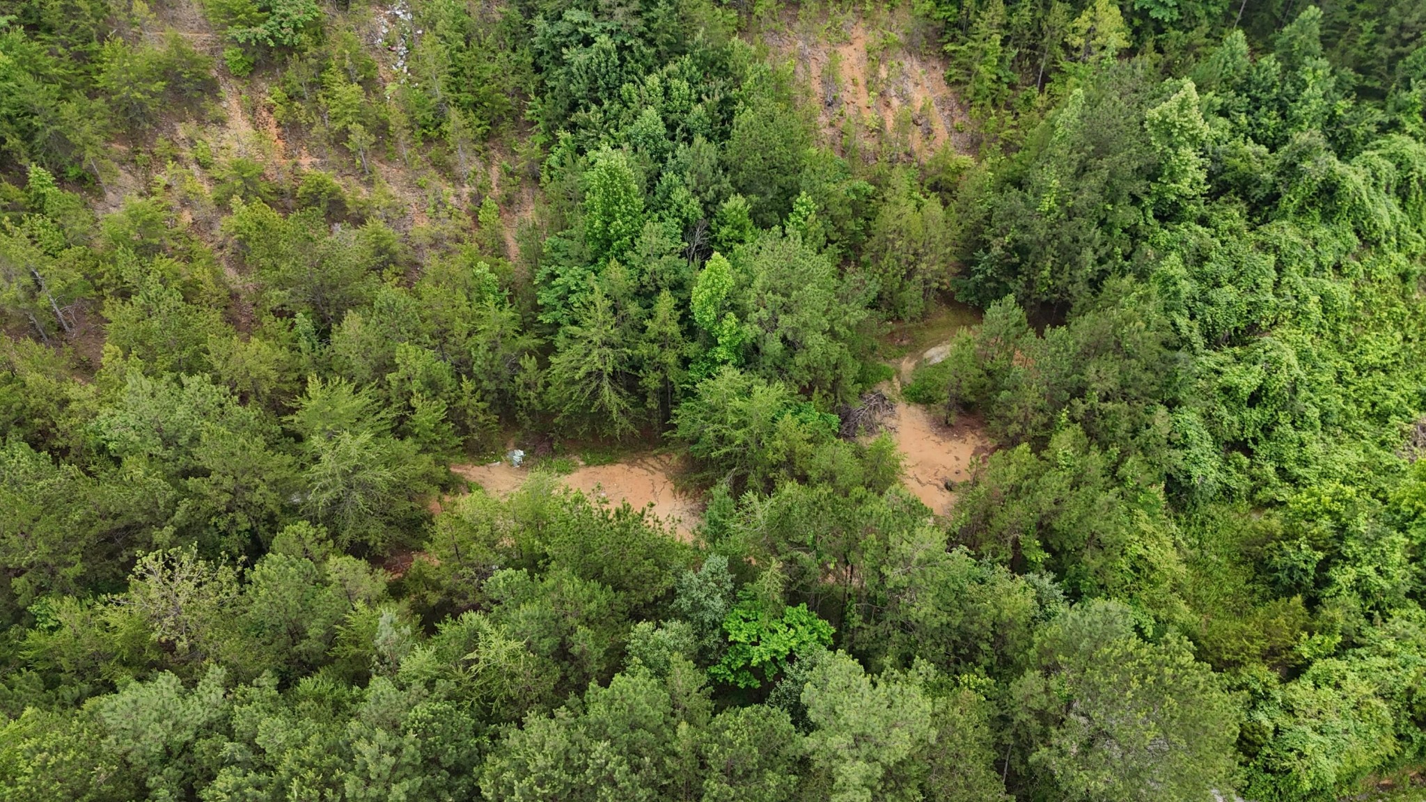 1814 Dallas Lake Road Property Photo 14