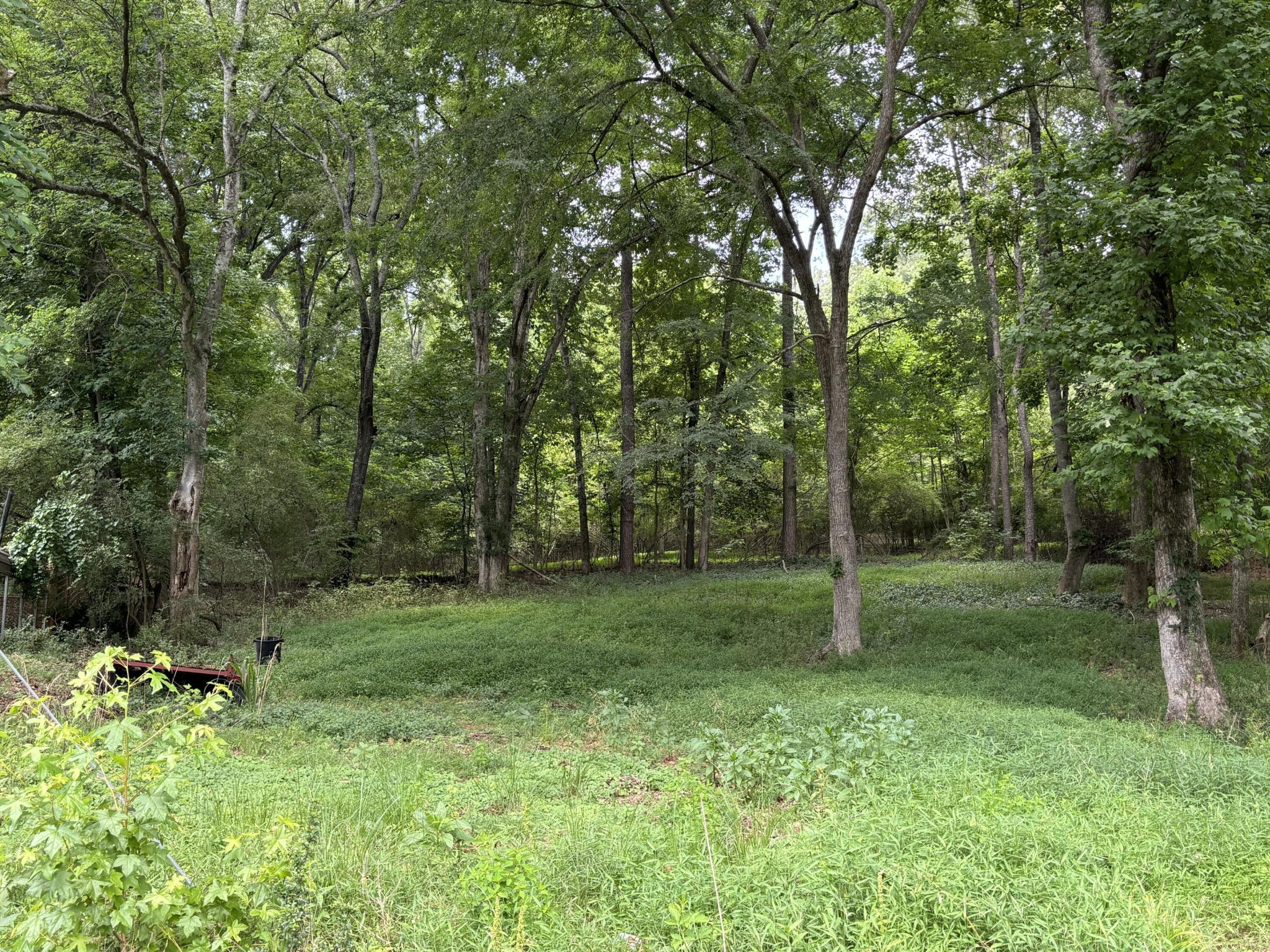 8907 Hidden Branches Road Property Photo 2