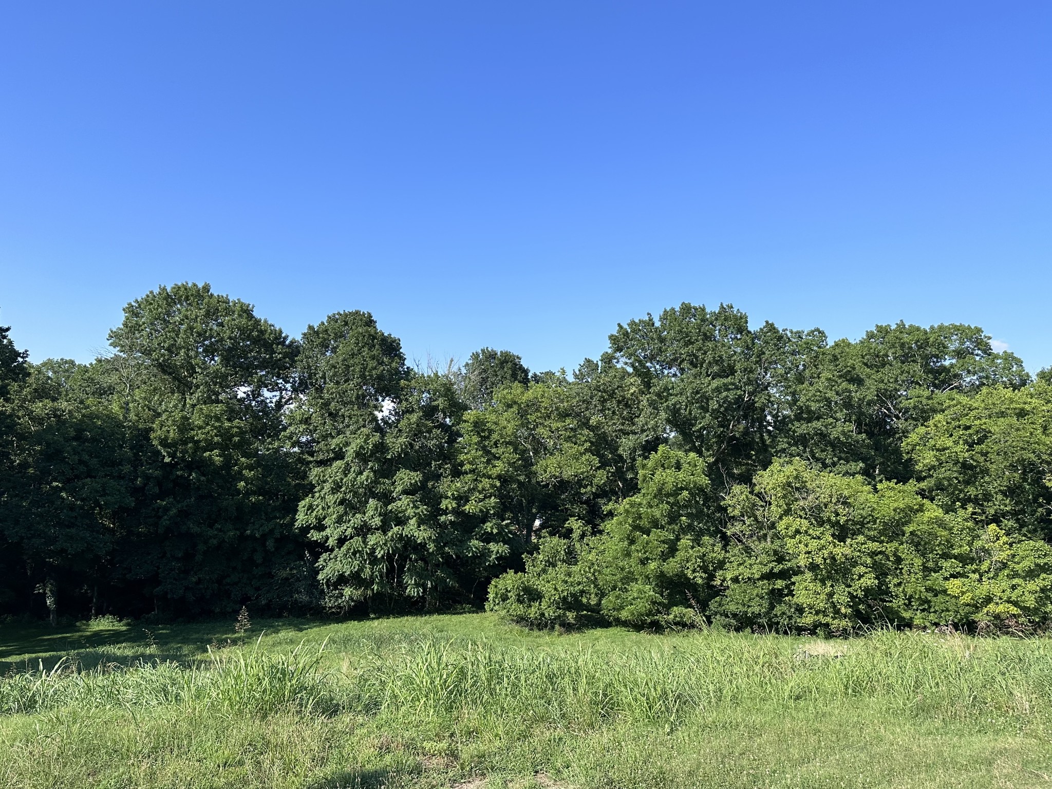 9040 Passiflora Ct Property Photo 7