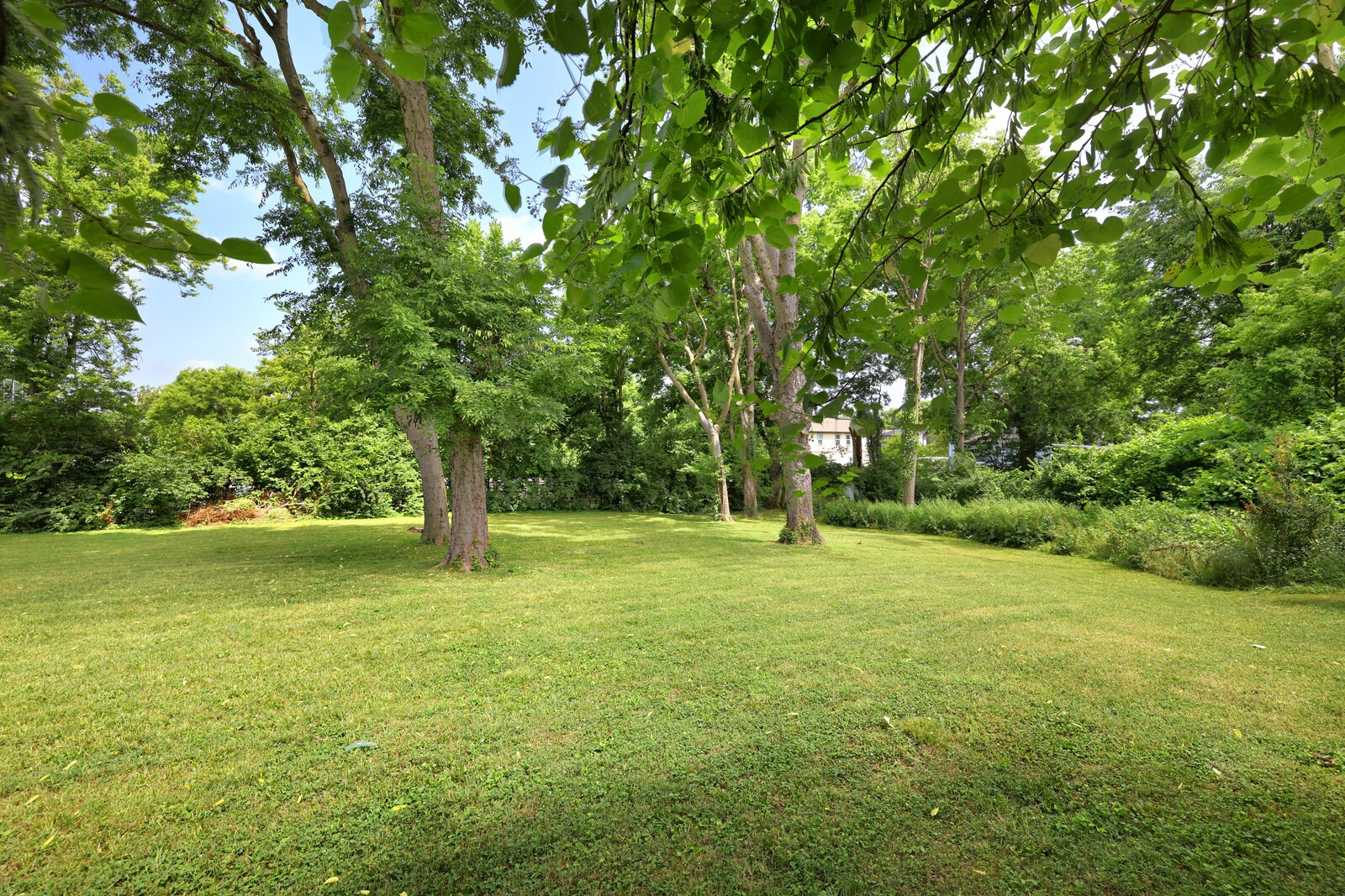 412 Westboro Dr Property Photo 19