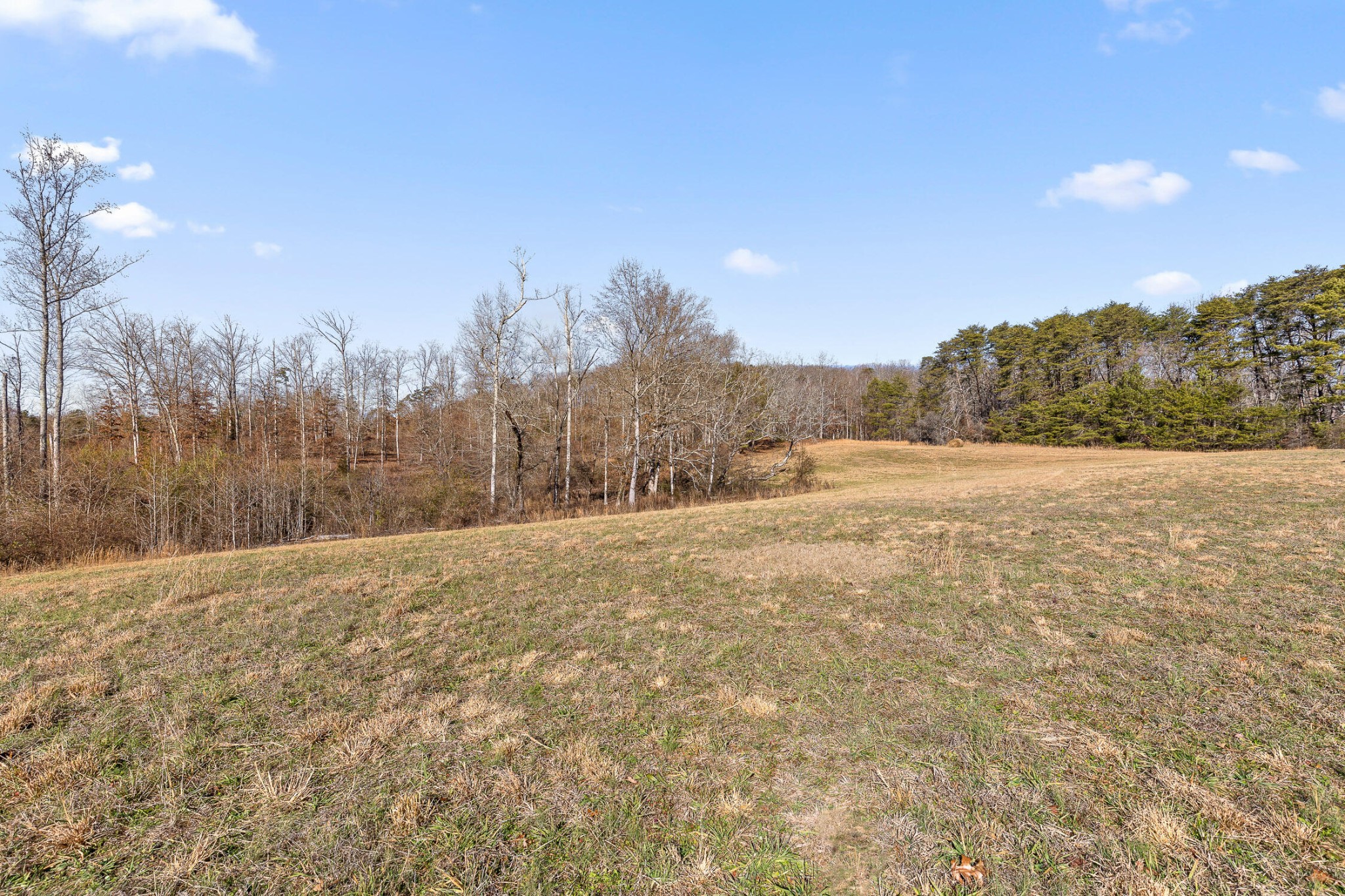 0 Blue Sky Drive Drive Property Photo 4