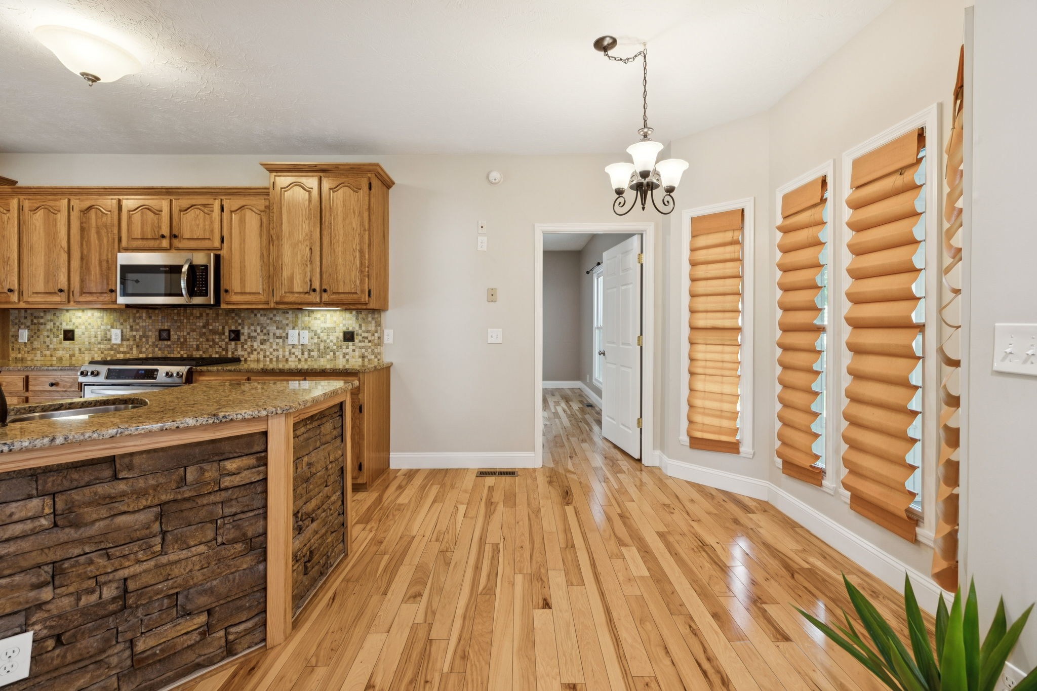 314 W Main St Property Photo 19