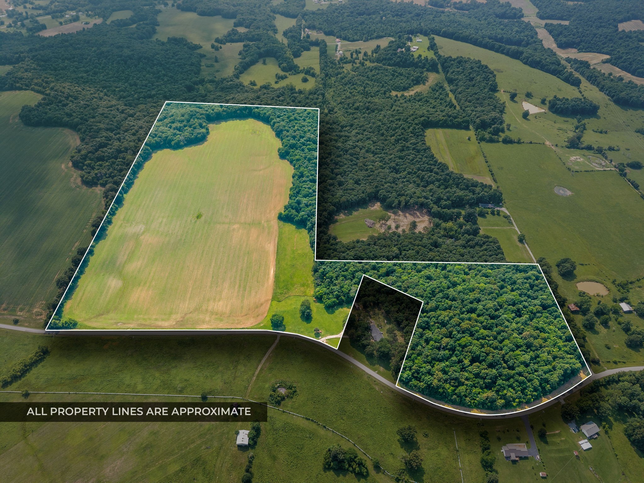 6467 Mt Zoar Hoptown Rd Property Photo 2