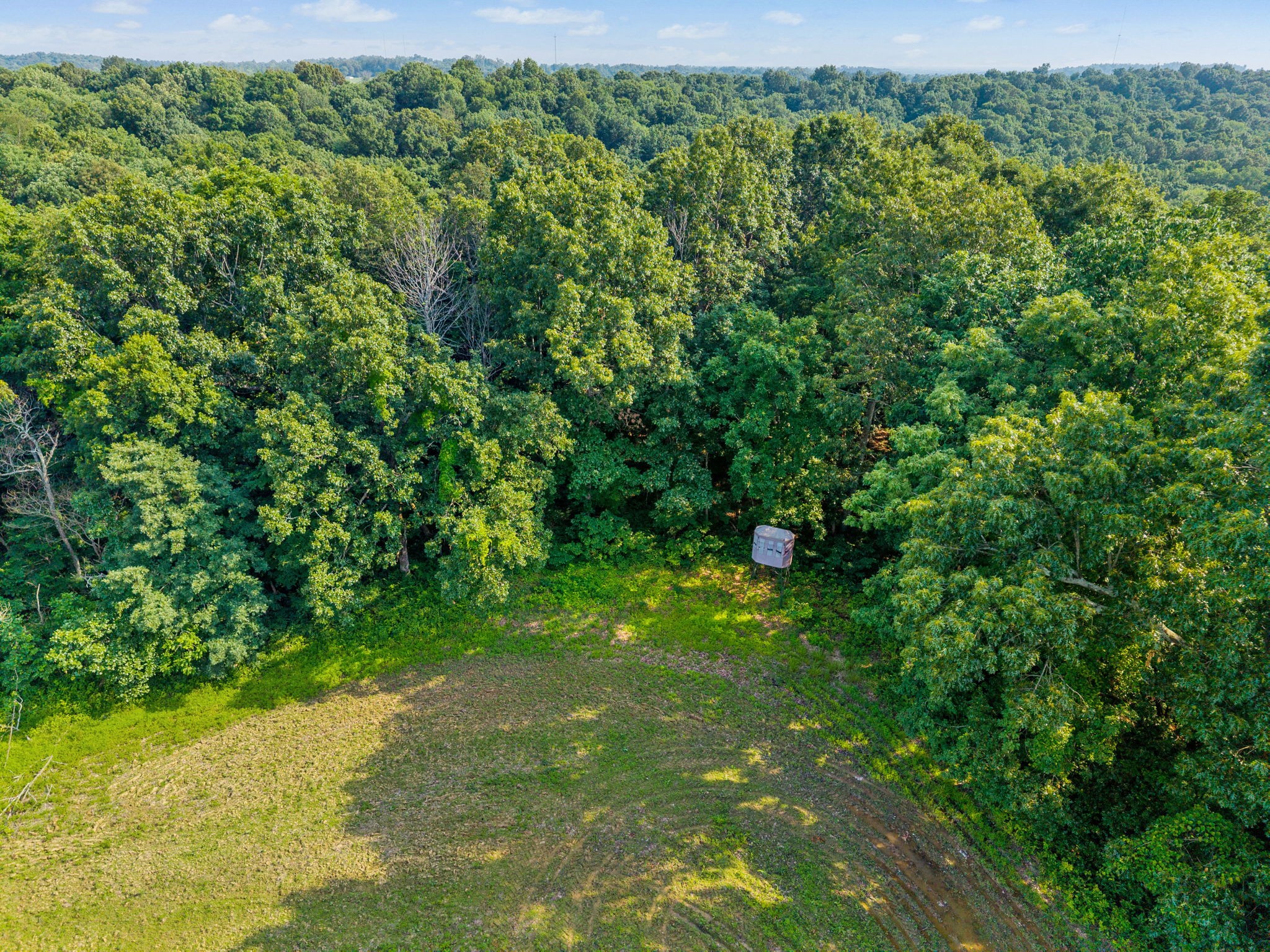 6467 Mt Zoar Hoptown Rd Property Photo 8