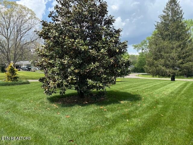 247 Valley Lane Property Photo 3