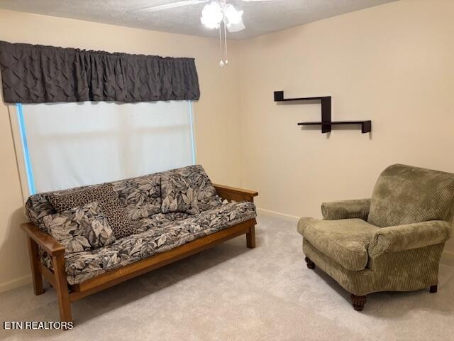 247 Valley Lane Property Photo 29