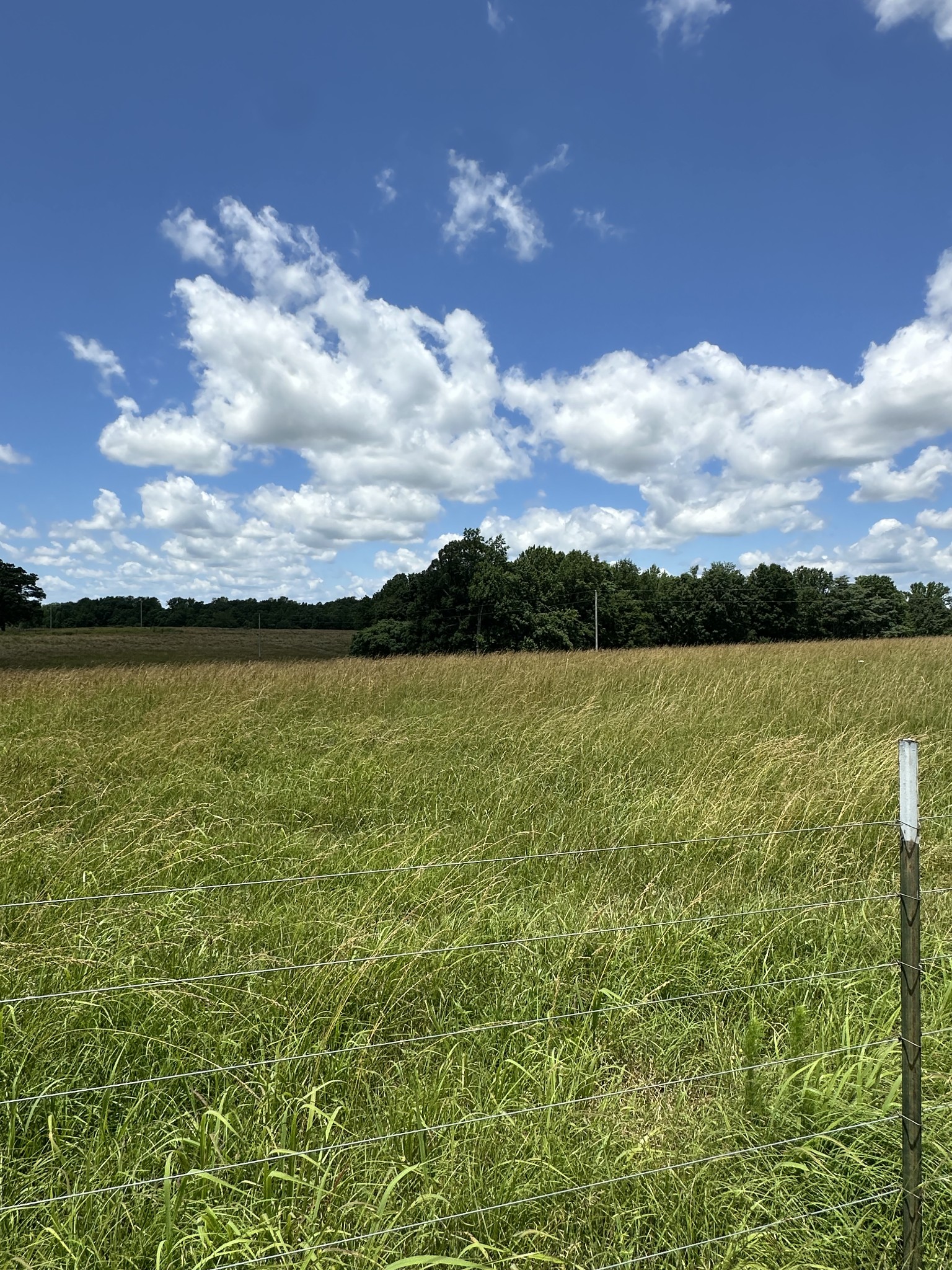 1 Weakley Loop Property Photo 1