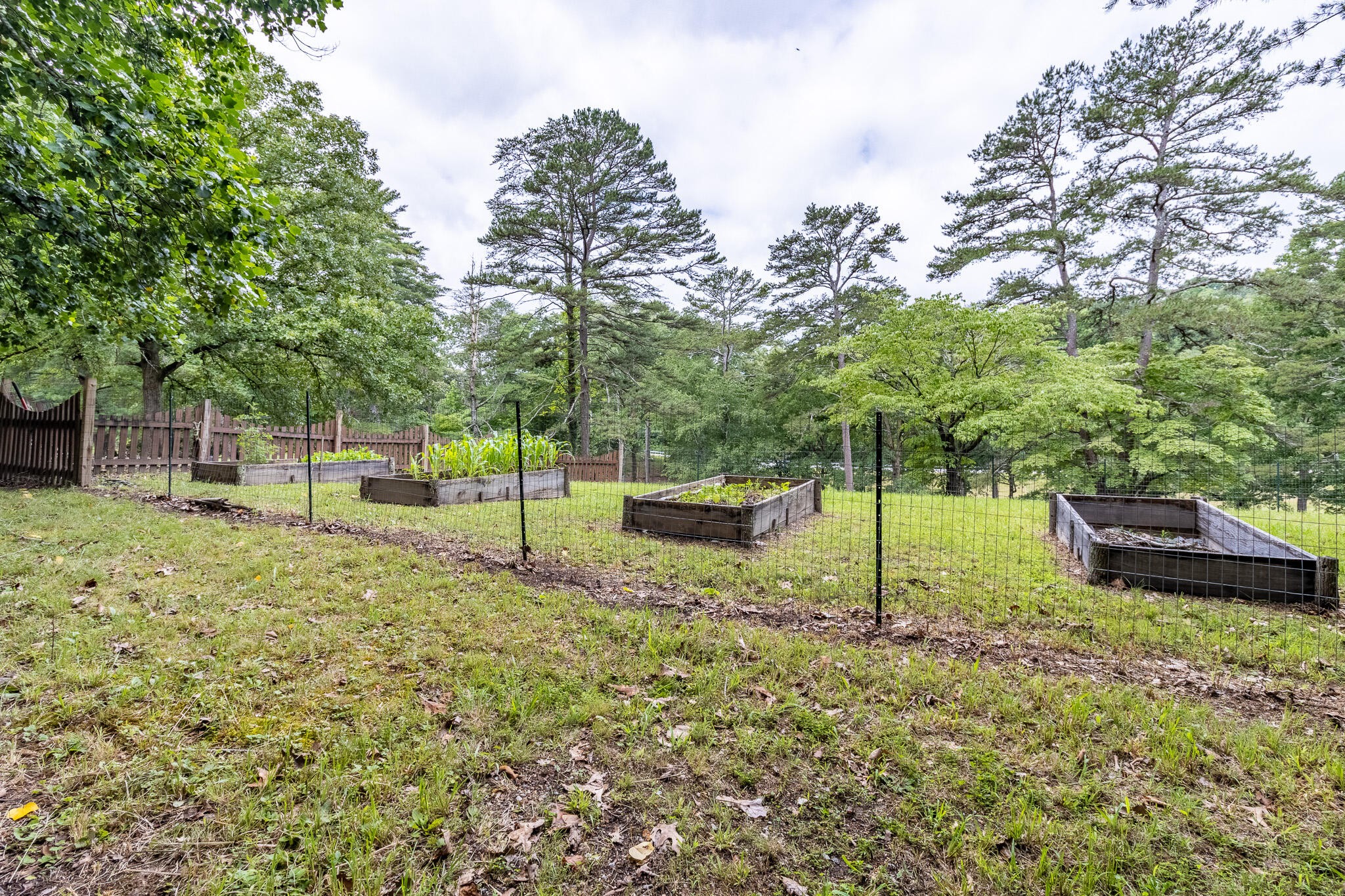 133 Stagg Street Property Photo 53