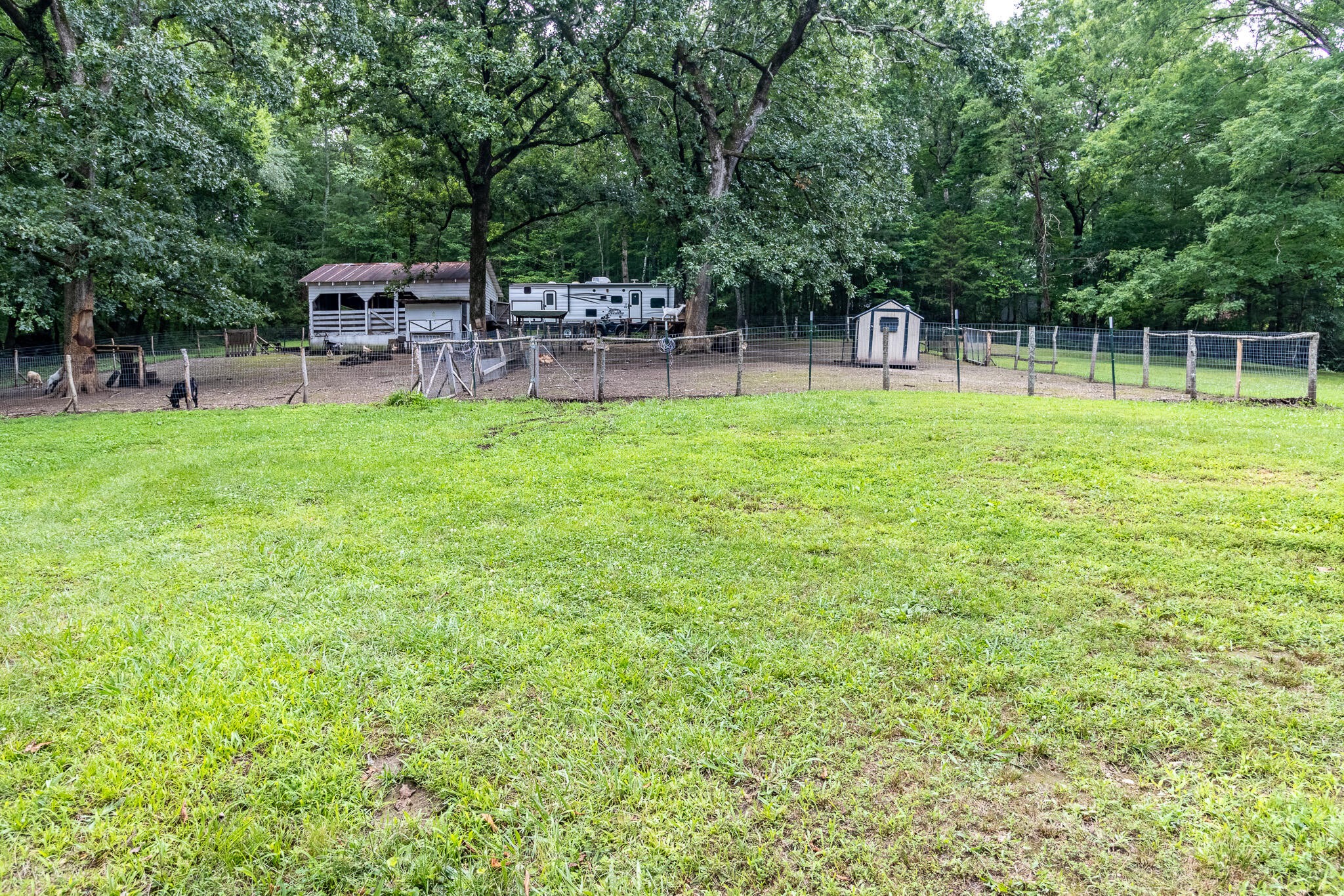 133 Stagg Street Property Photo 61
