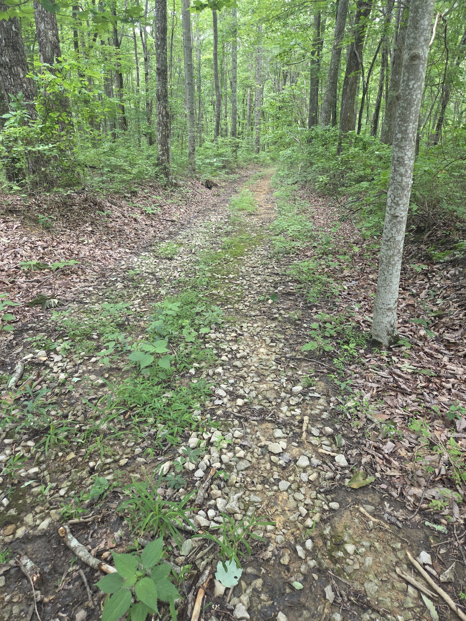 0 Blumont Drive Property Photo 4