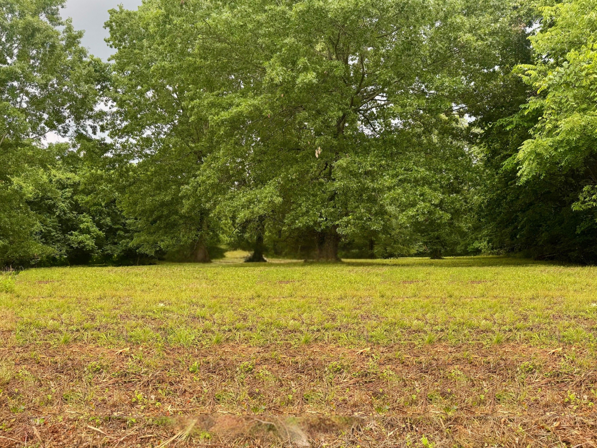 9580 Trousdale Ferry Pike Property Photo 13