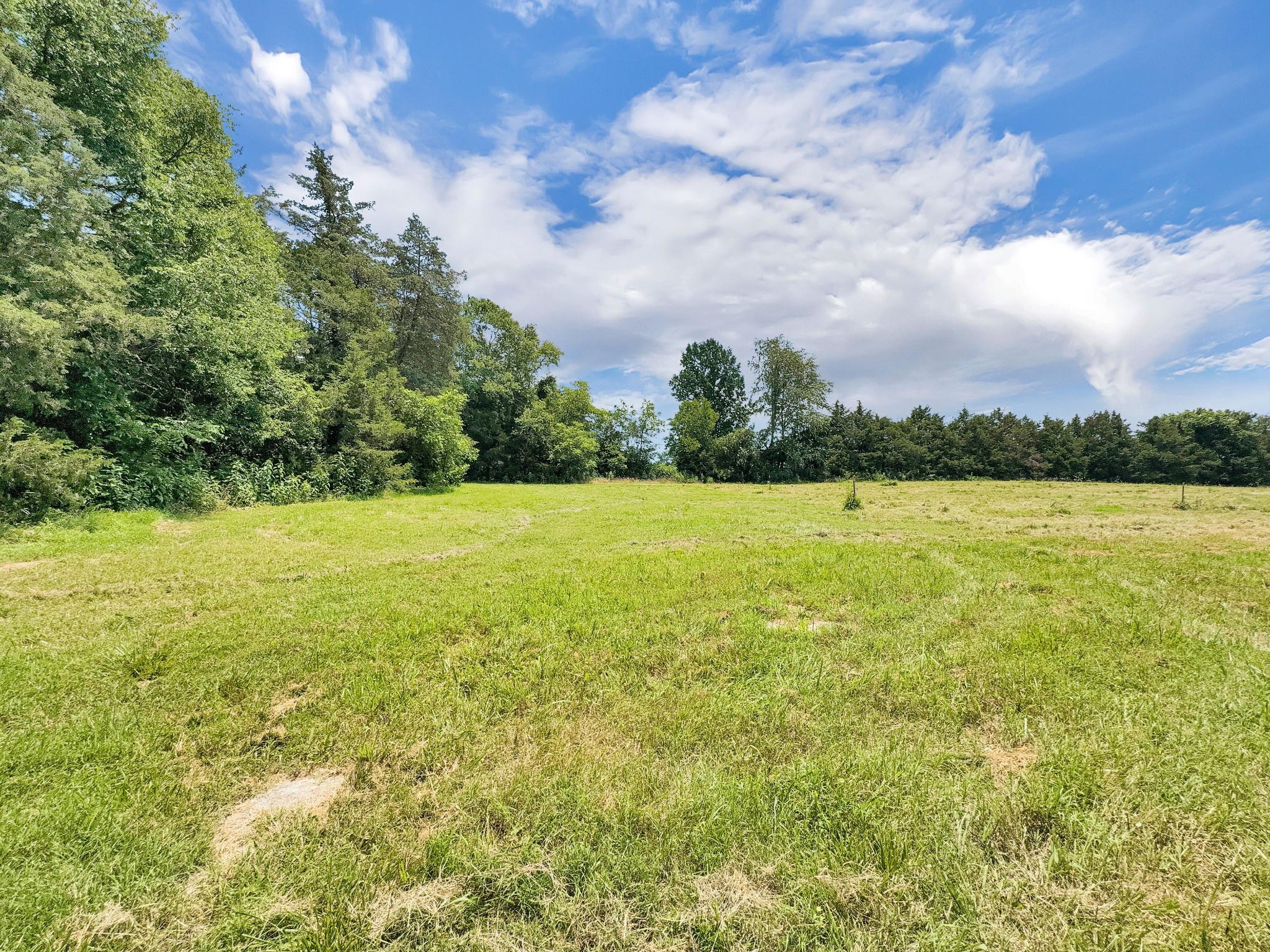 3510 Vesta Rd Property Photo 43