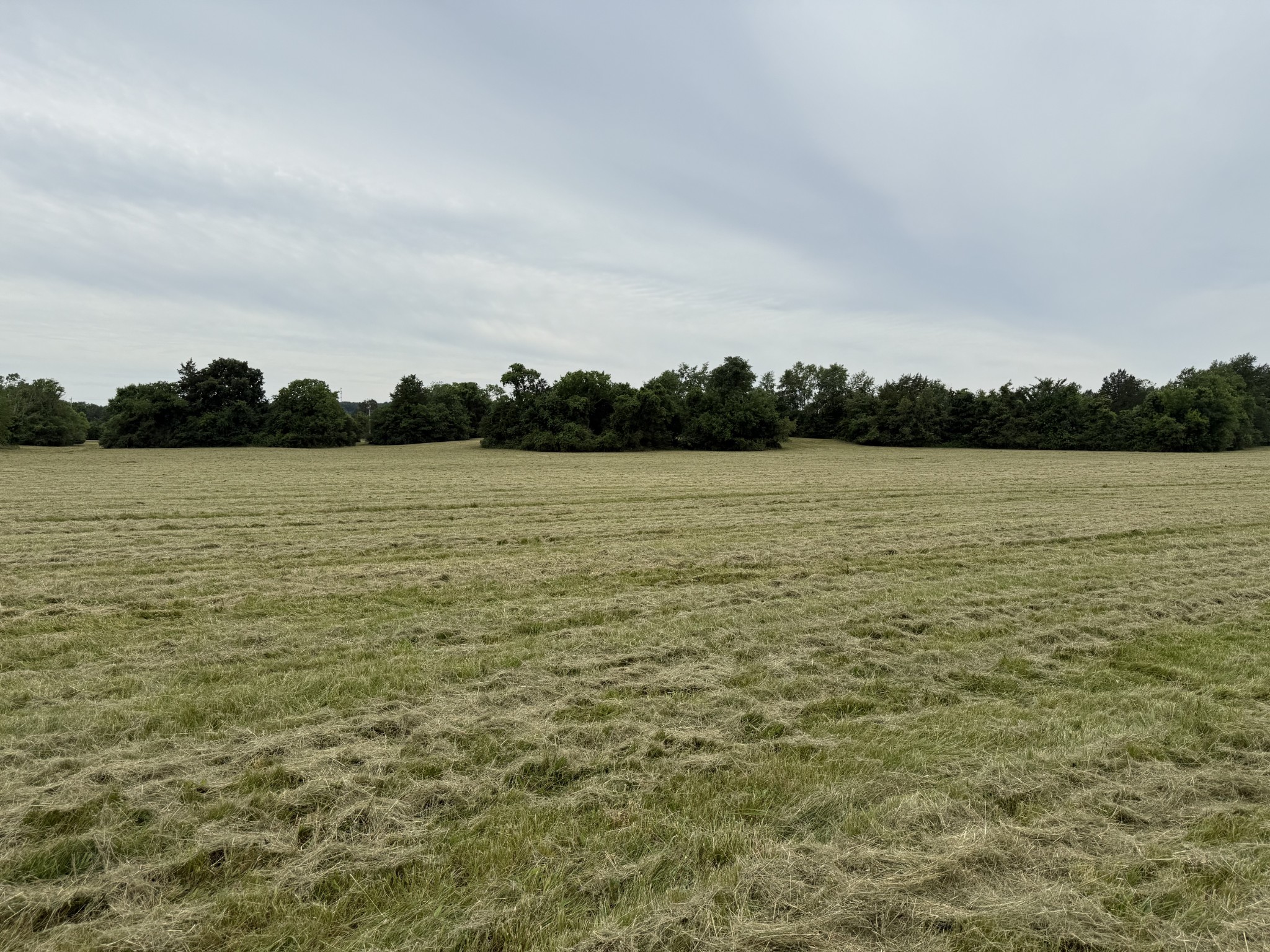 0 Rawls Creek Rd Property Photo 6