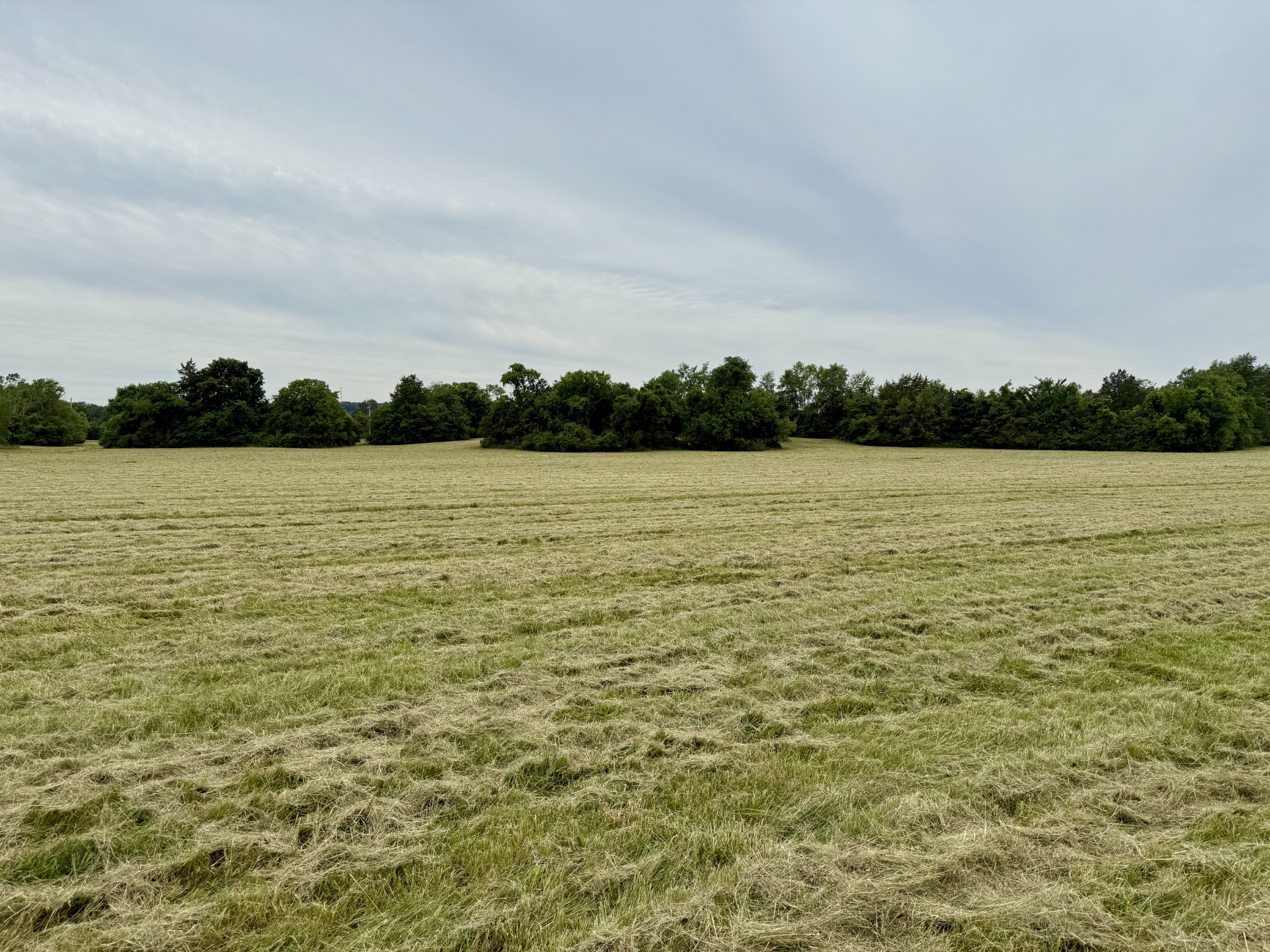 0 Rawls Creek Rd Property Photo 7