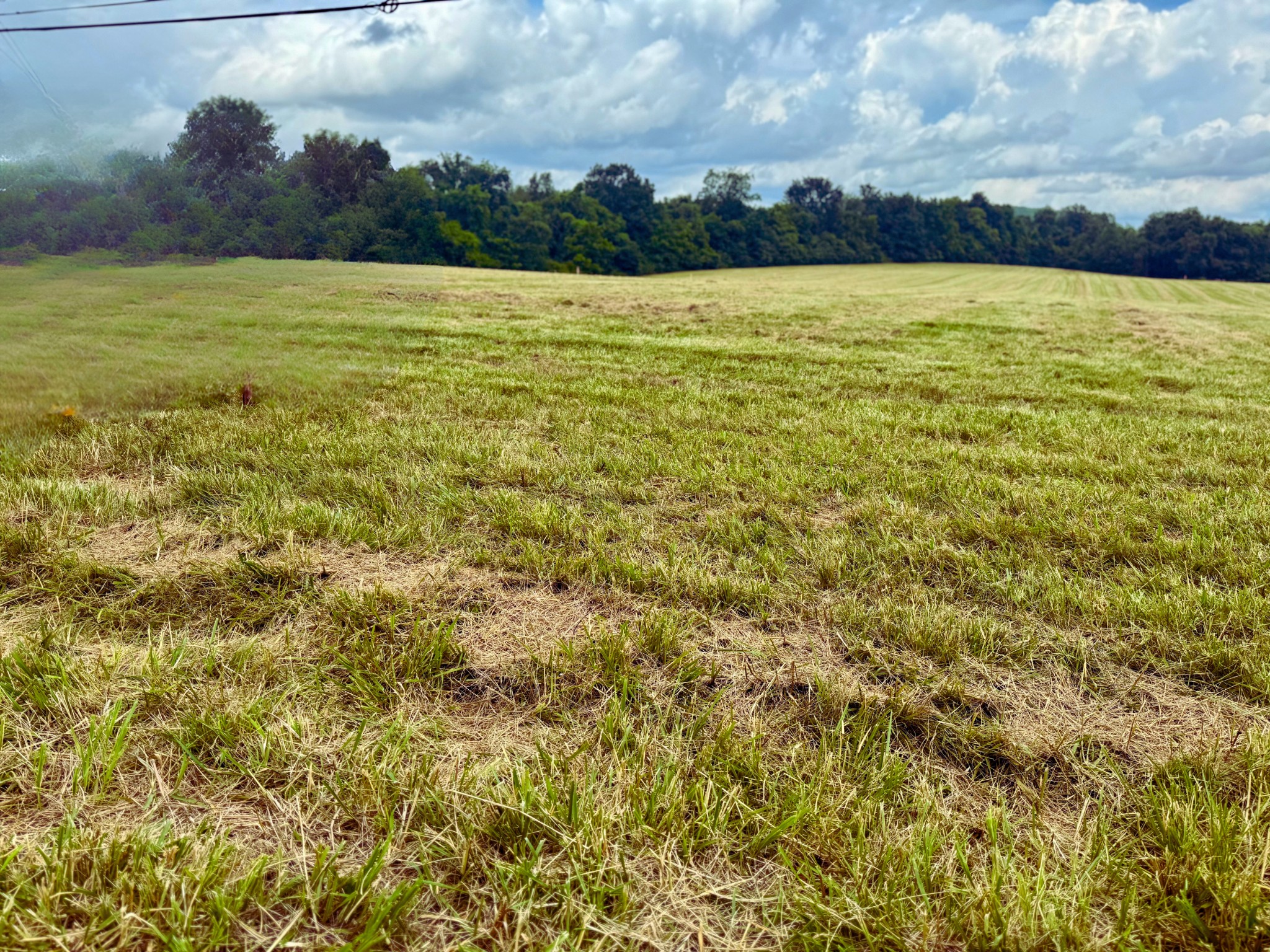0 Rawls Creek Rd Property Photo 9