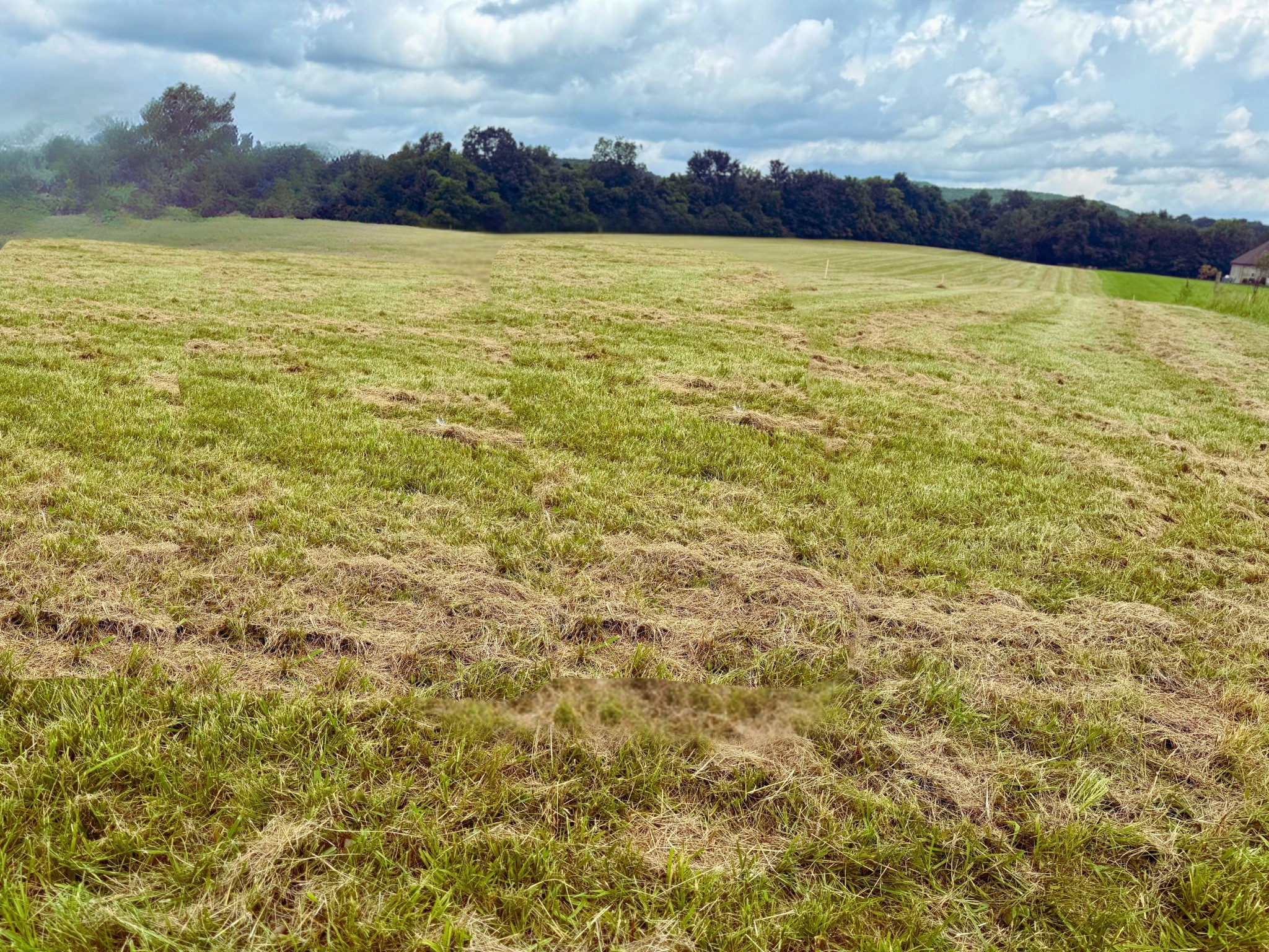 0 Rawls Creek Rd Property Photo 10