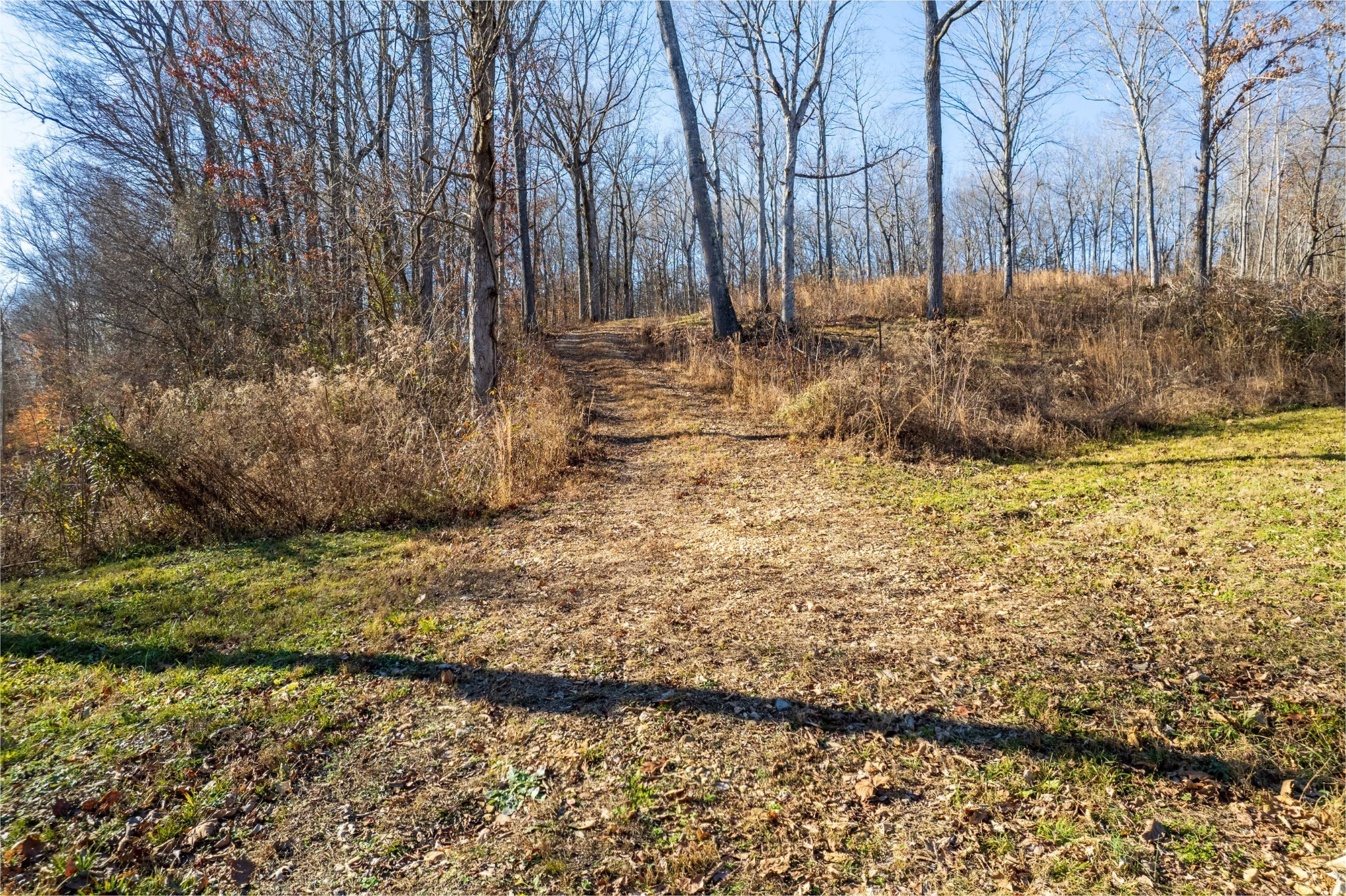 164 Lewis Cir Property Photo 7