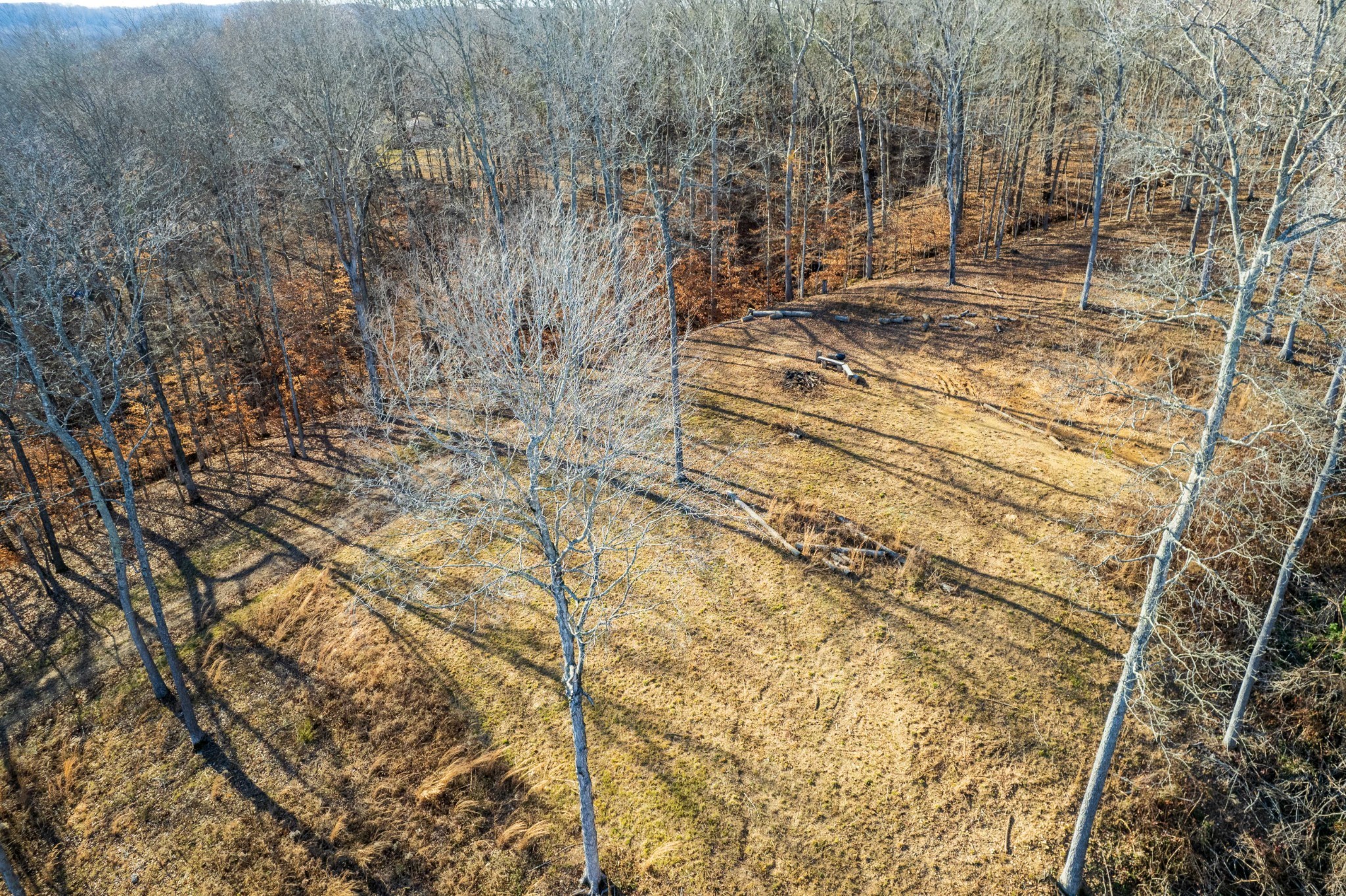 164 Lewis Cir Property Photo 11
