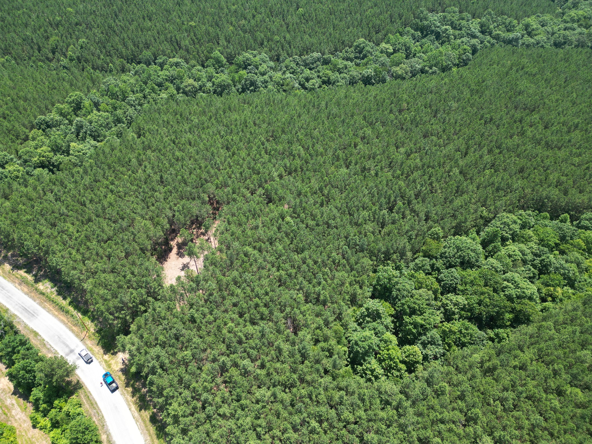 910 Seiber Ridge Rd Property Photo 2