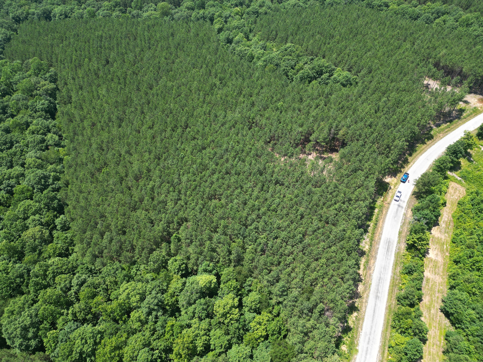 910 Seiber Ridge Rd Property Photo 3