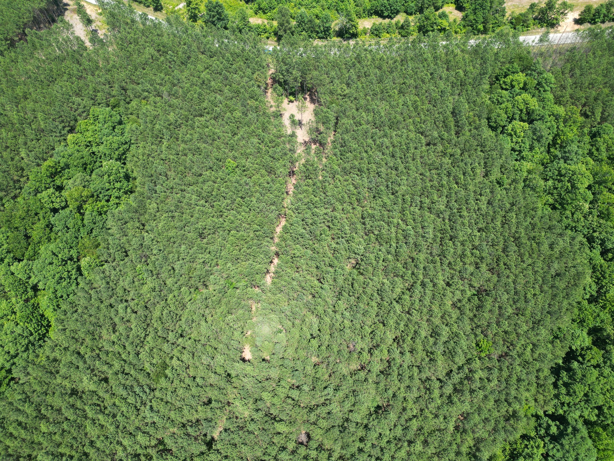 910 Seiber Ridge Rd Property Photo 4