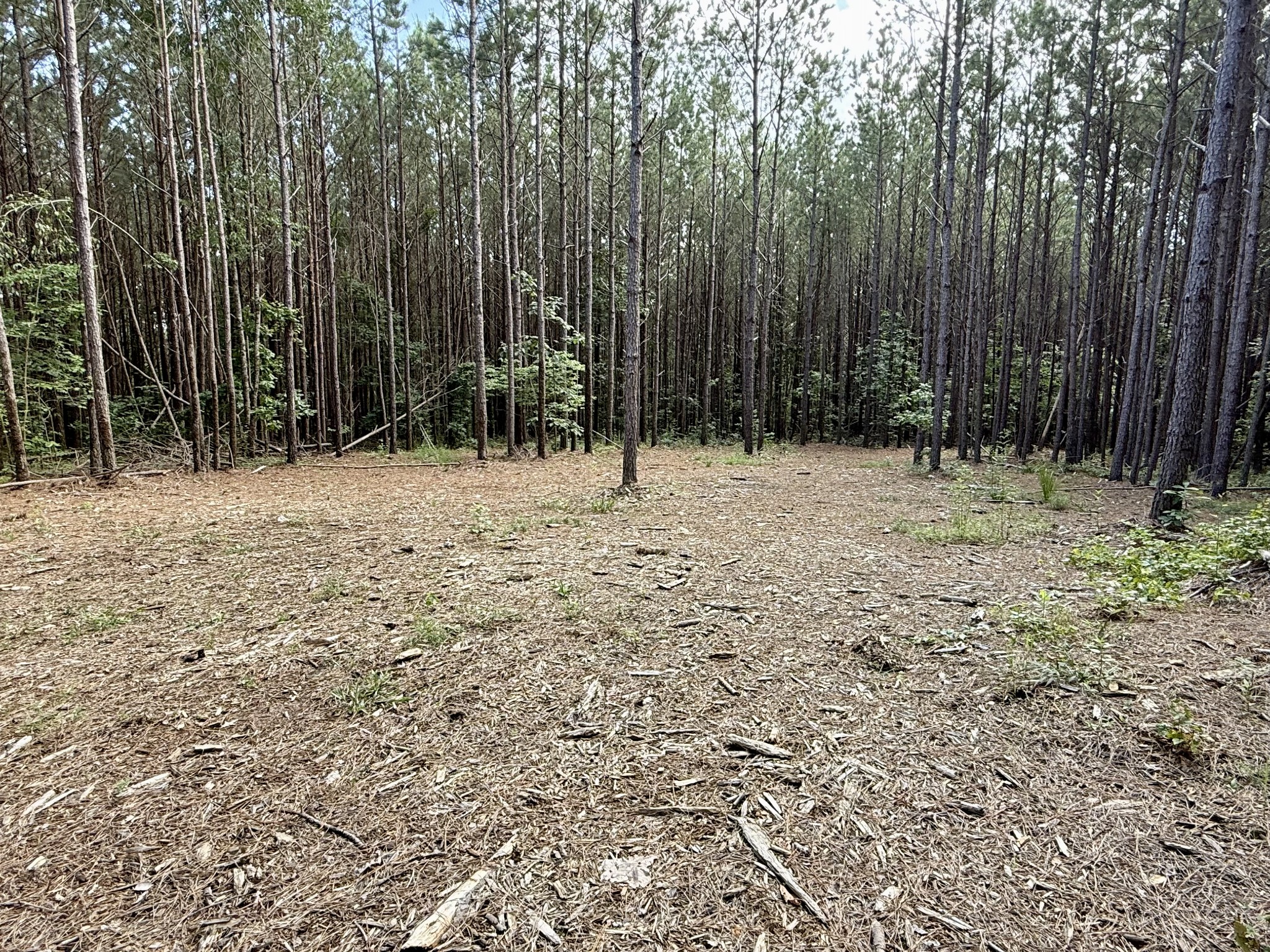 910 Seiber Ridge Rd Property Photo 7