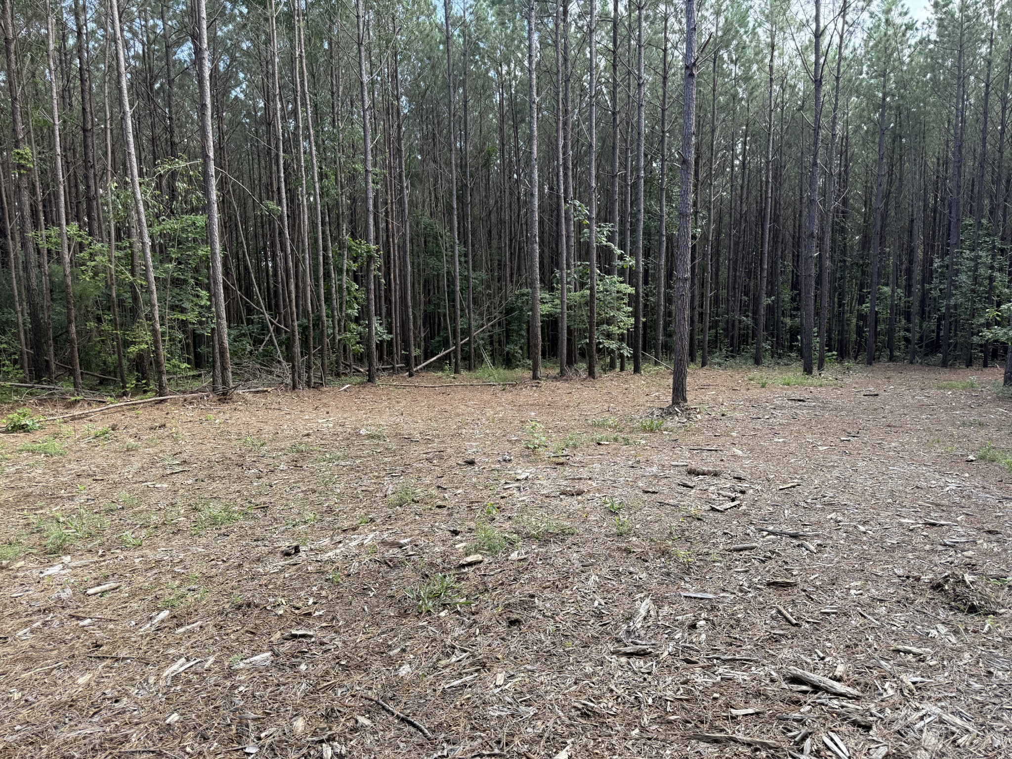 910 Seiber Ridge Rd Property Photo 8