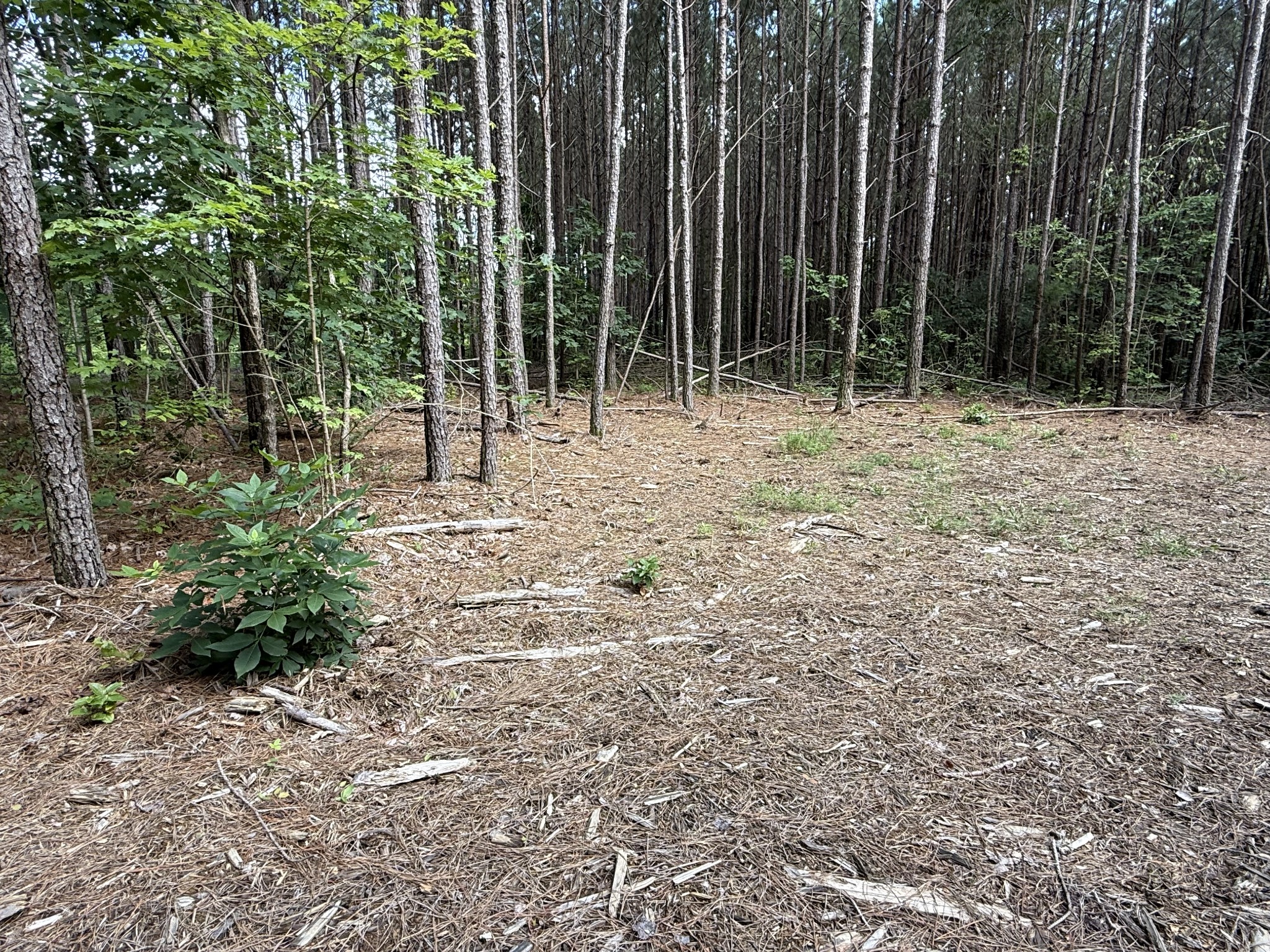 910 Seiber Ridge Rd Property Photo 11
