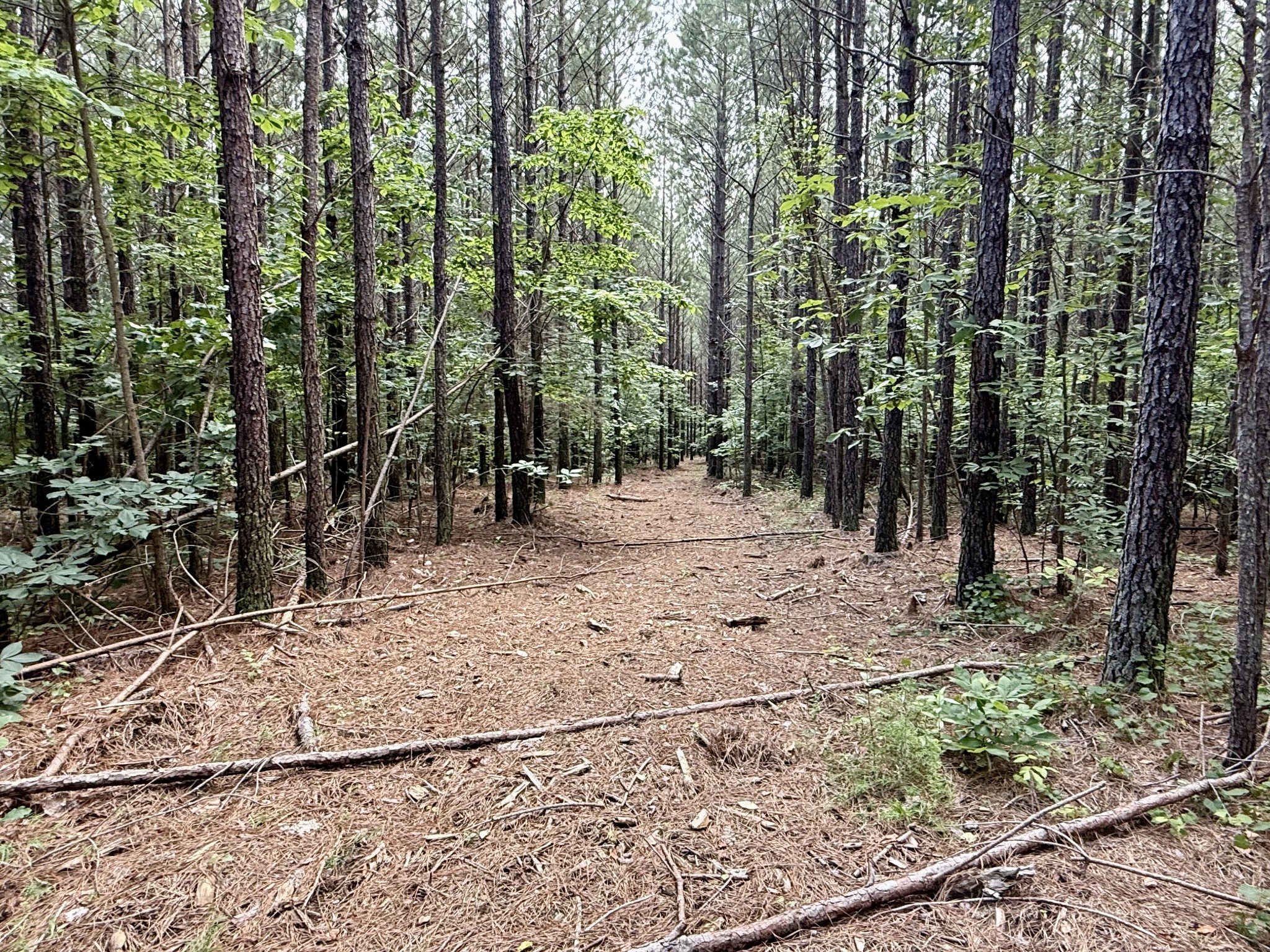 910 Seiber Ridge Rd Property Photo 15