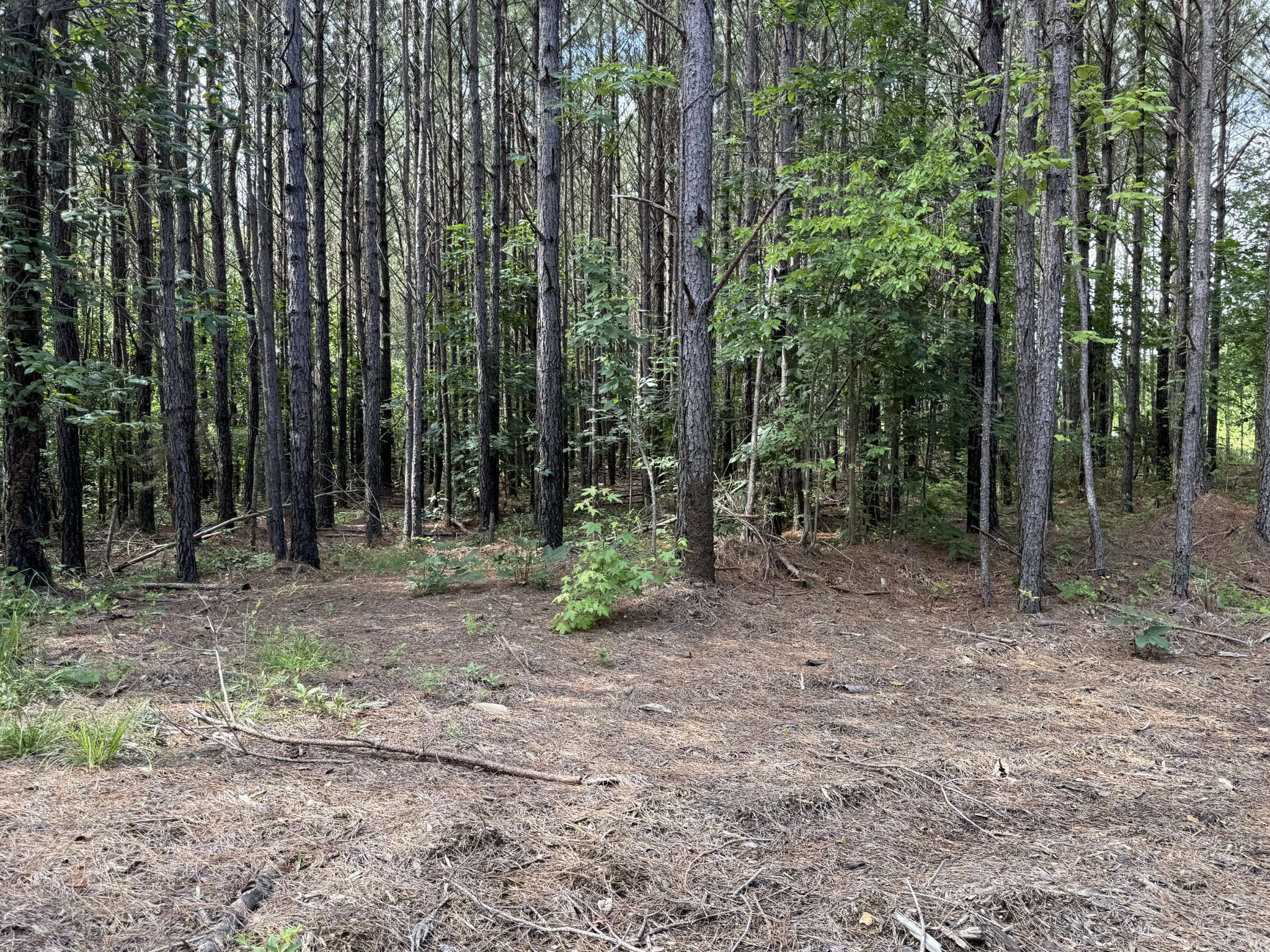 910 Seiber Ridge Rd Property Photo 21