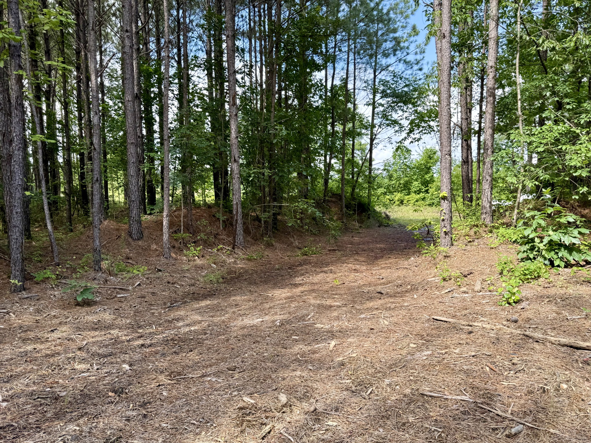 910 Seiber Ridge Rd Property Photo 22