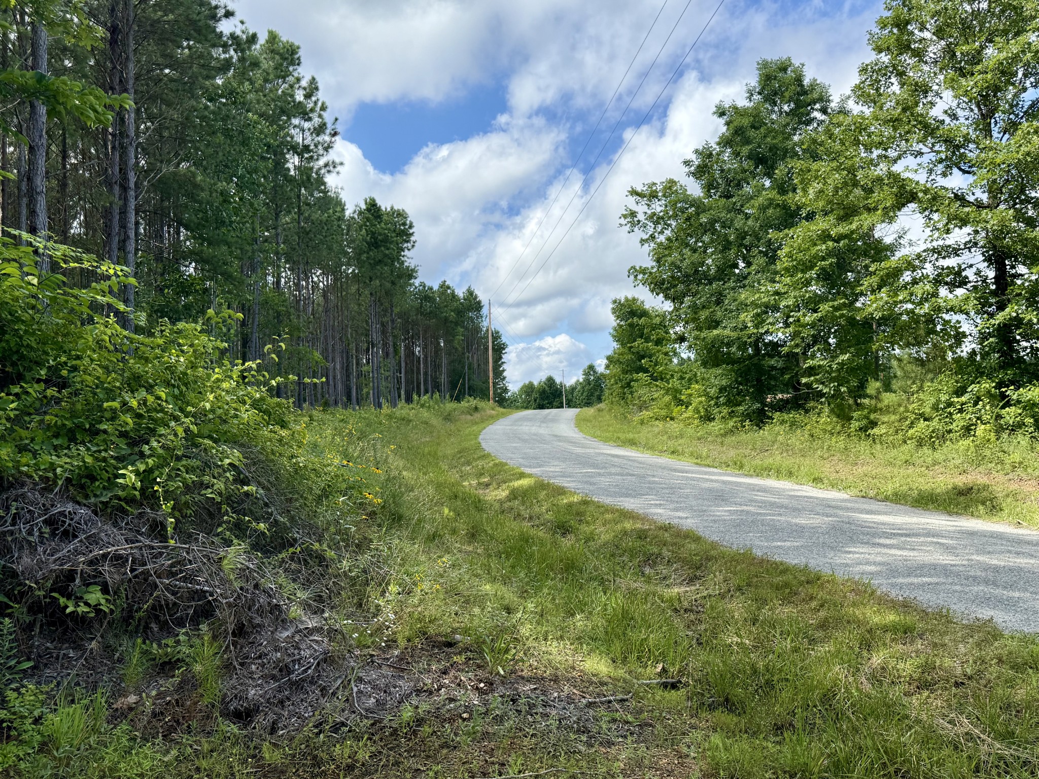 910 Seiber Ridge Rd Property Photo 23