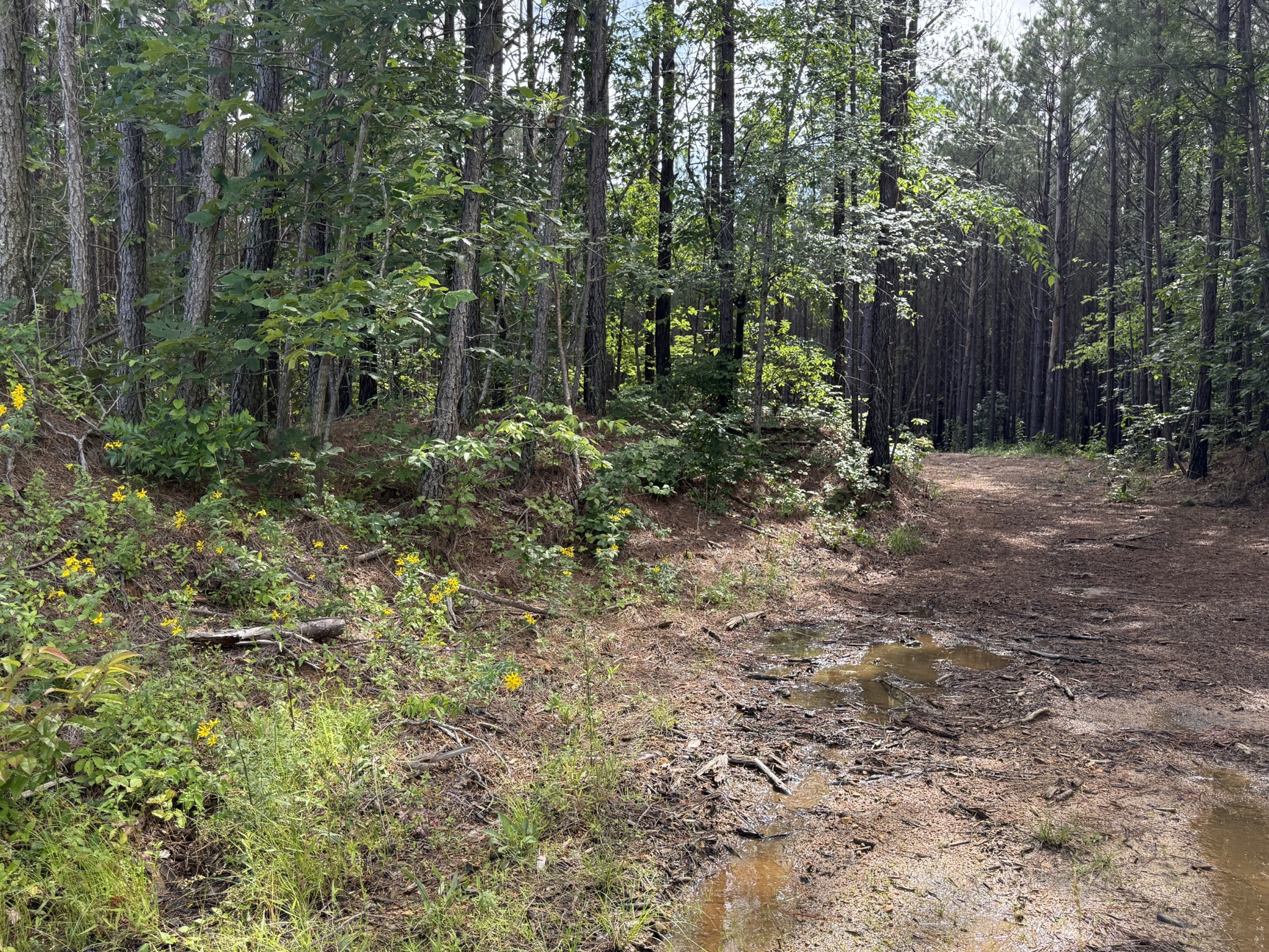 910 Seiber Ridge Rd Property Photo 24