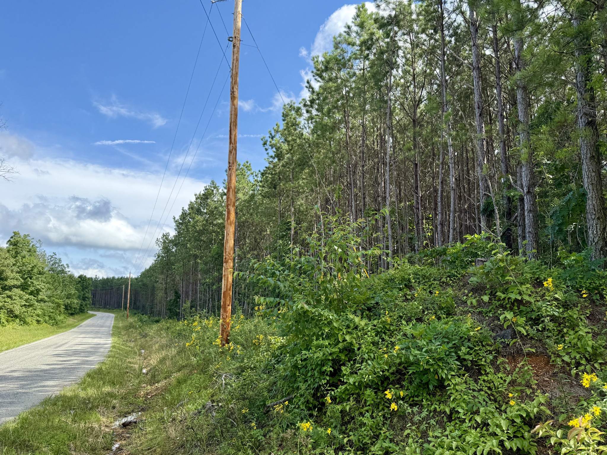910 Seiber Ridge Rd Property Photo 27