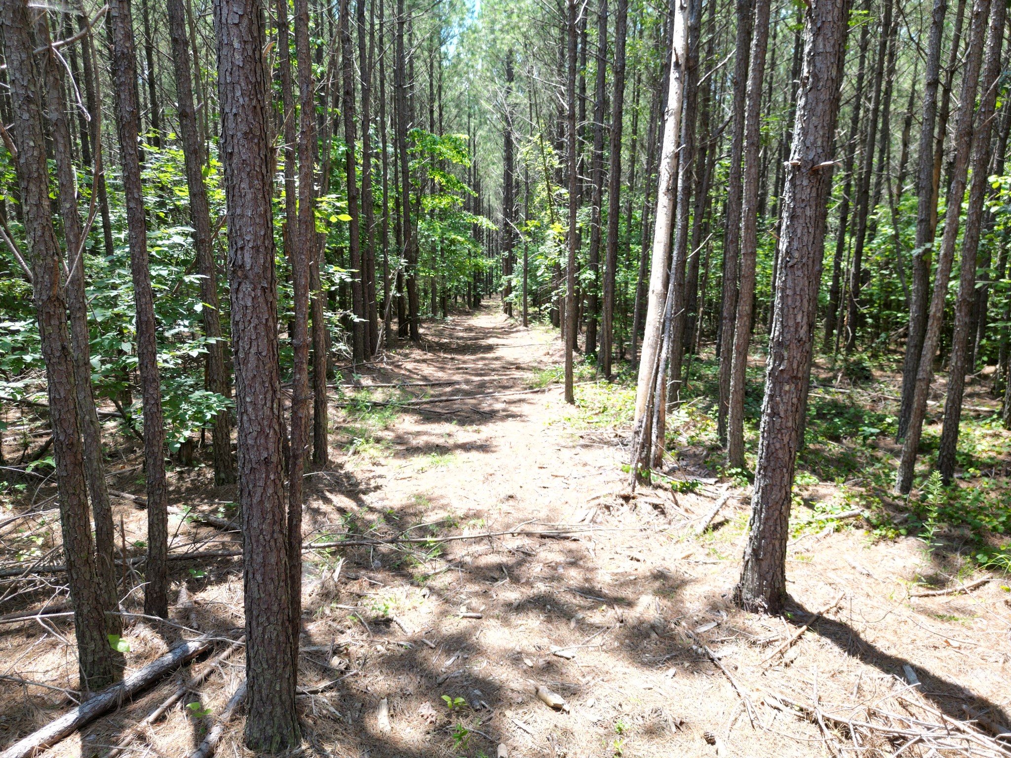 910 Seiber Ridge Rd Property Photo 34