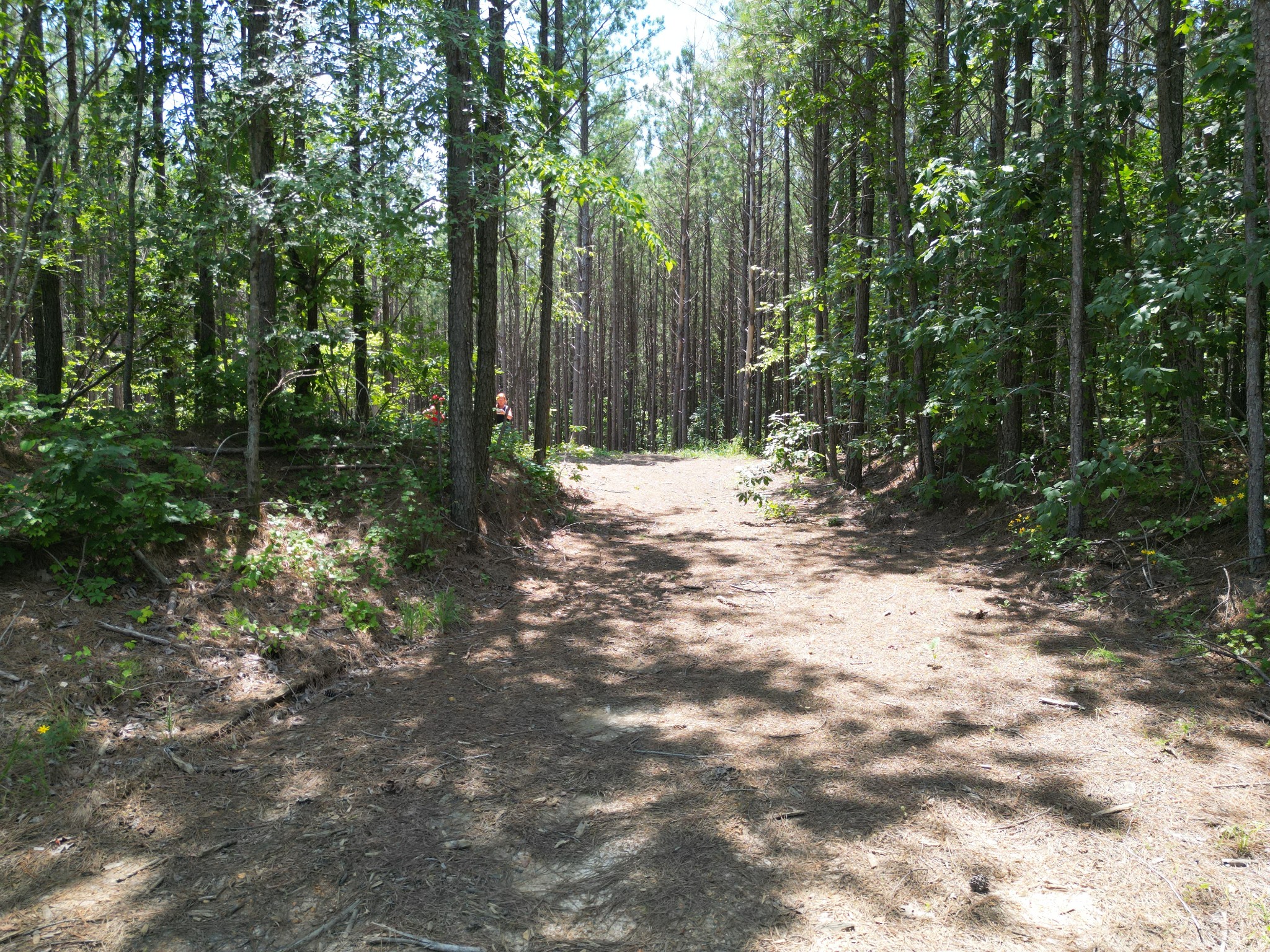 910 Seiber Ridge Rd Property Photo 35
