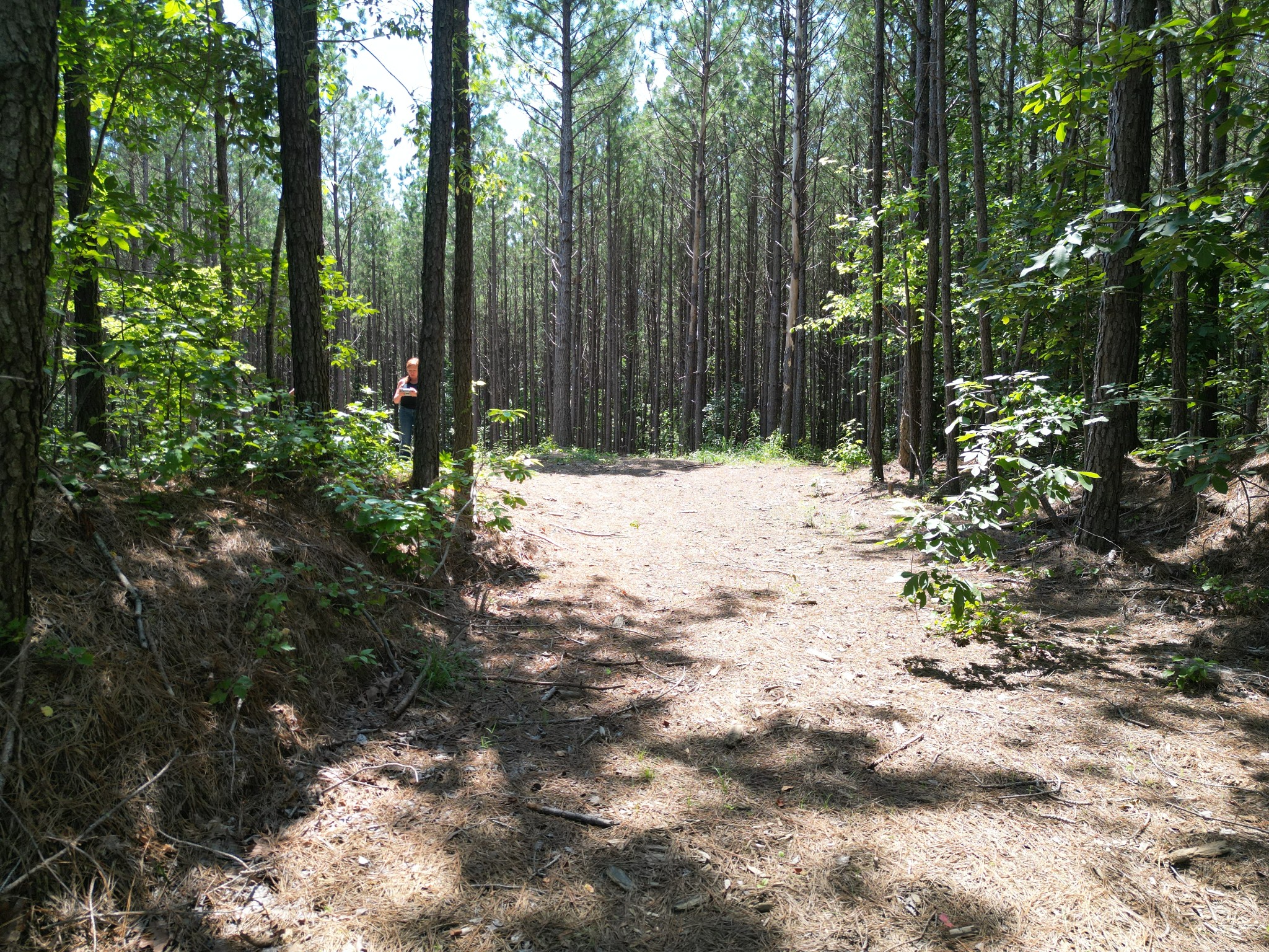 910 Seiber Ridge Rd Property Photo 36