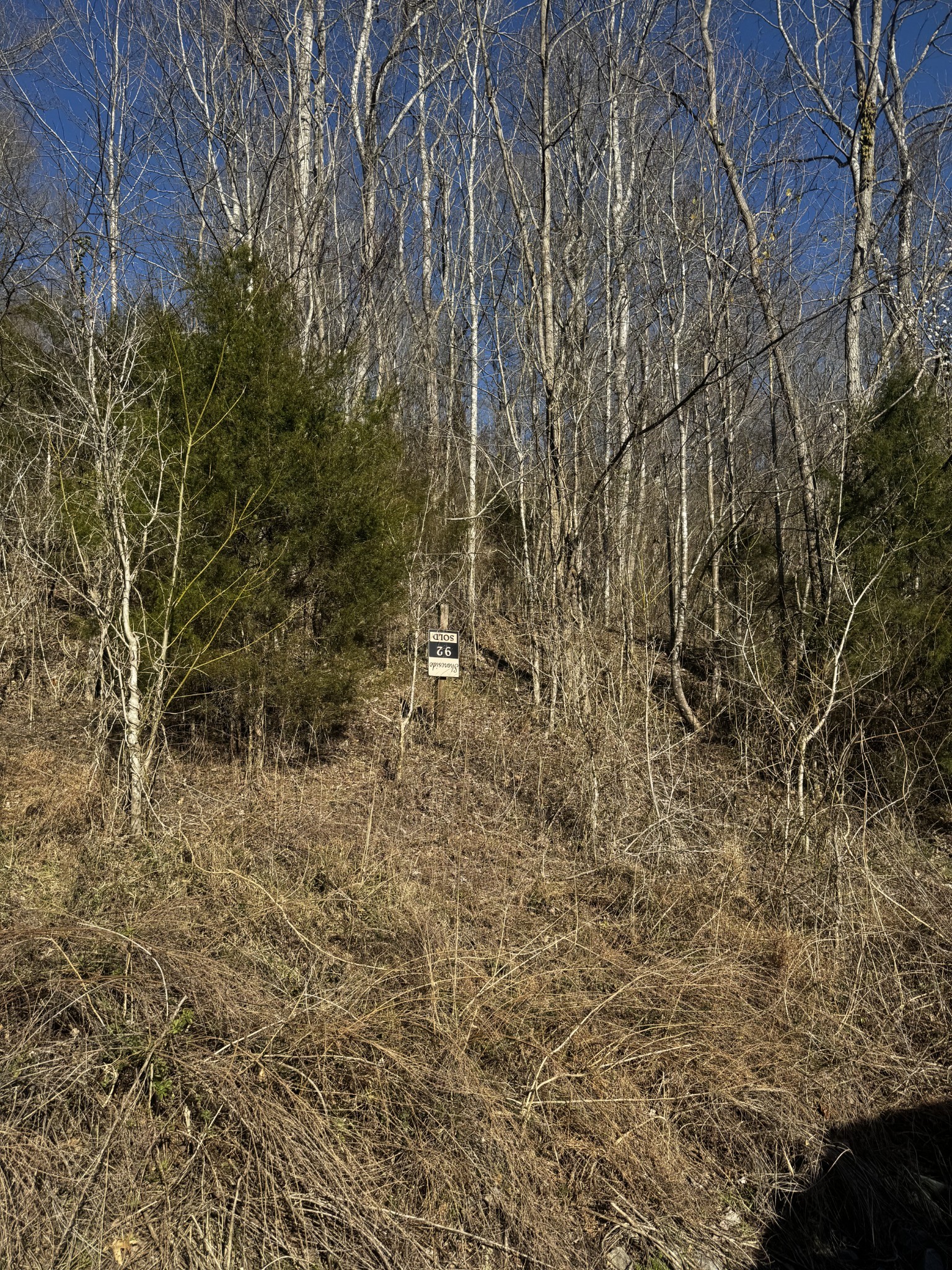 92 Shoreside Dr Property Photo 3