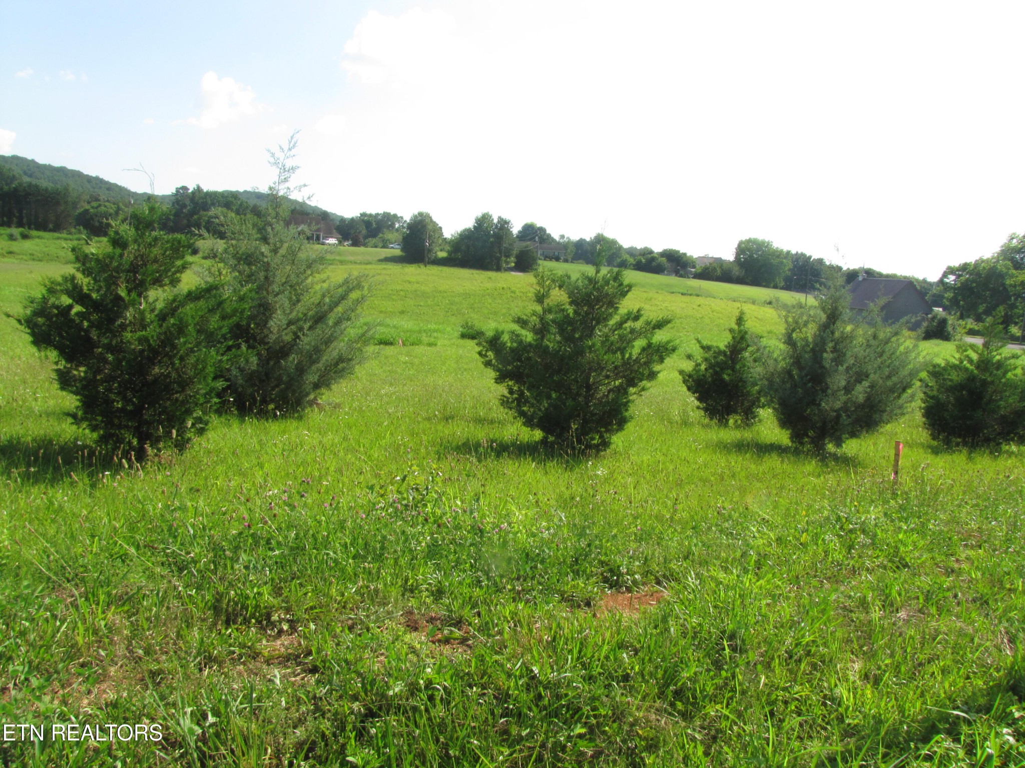 0 Edgewood Drive Drive Property Photo 8