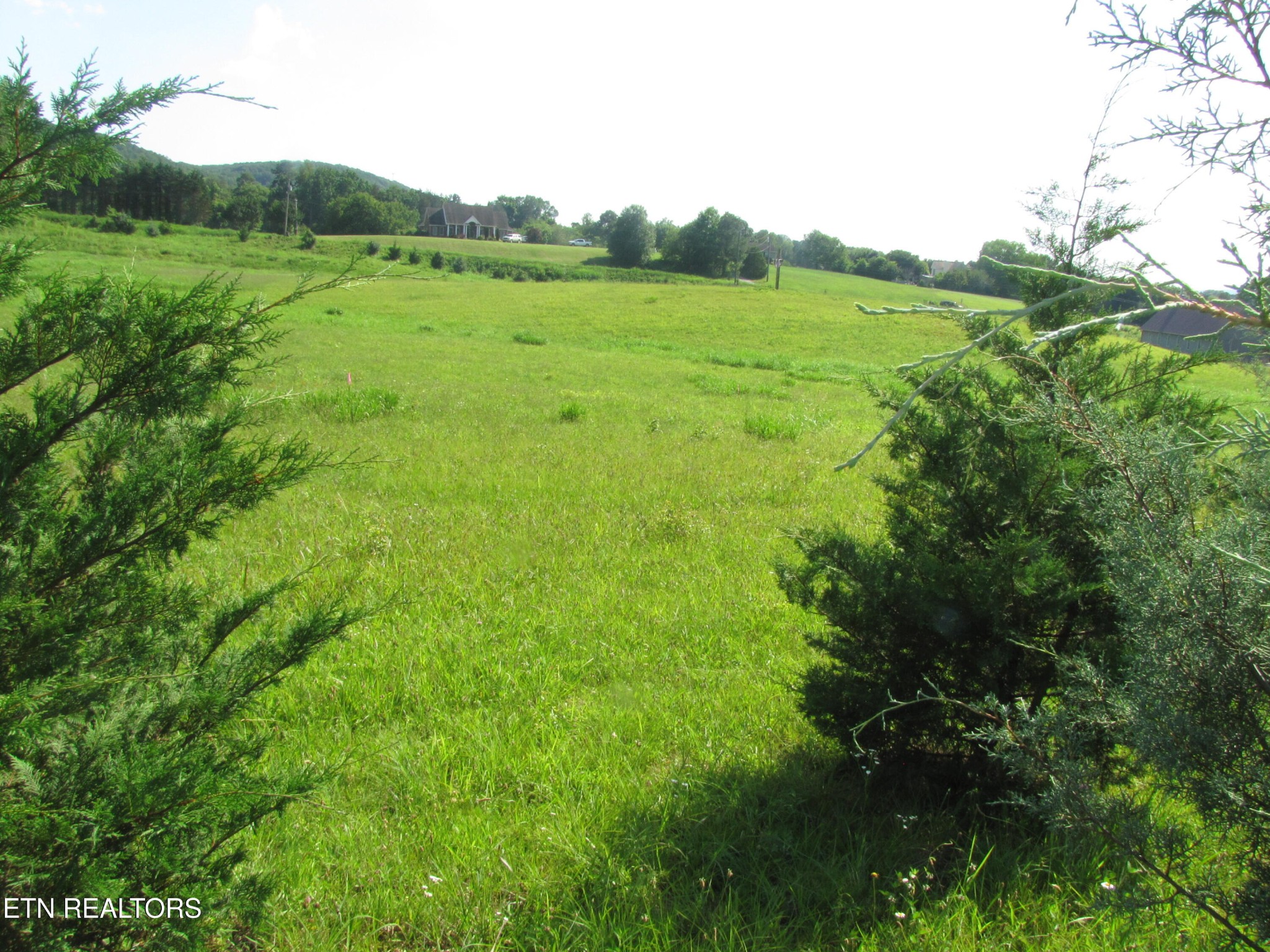 0 Edgewood Drive Drive Property Photo 8