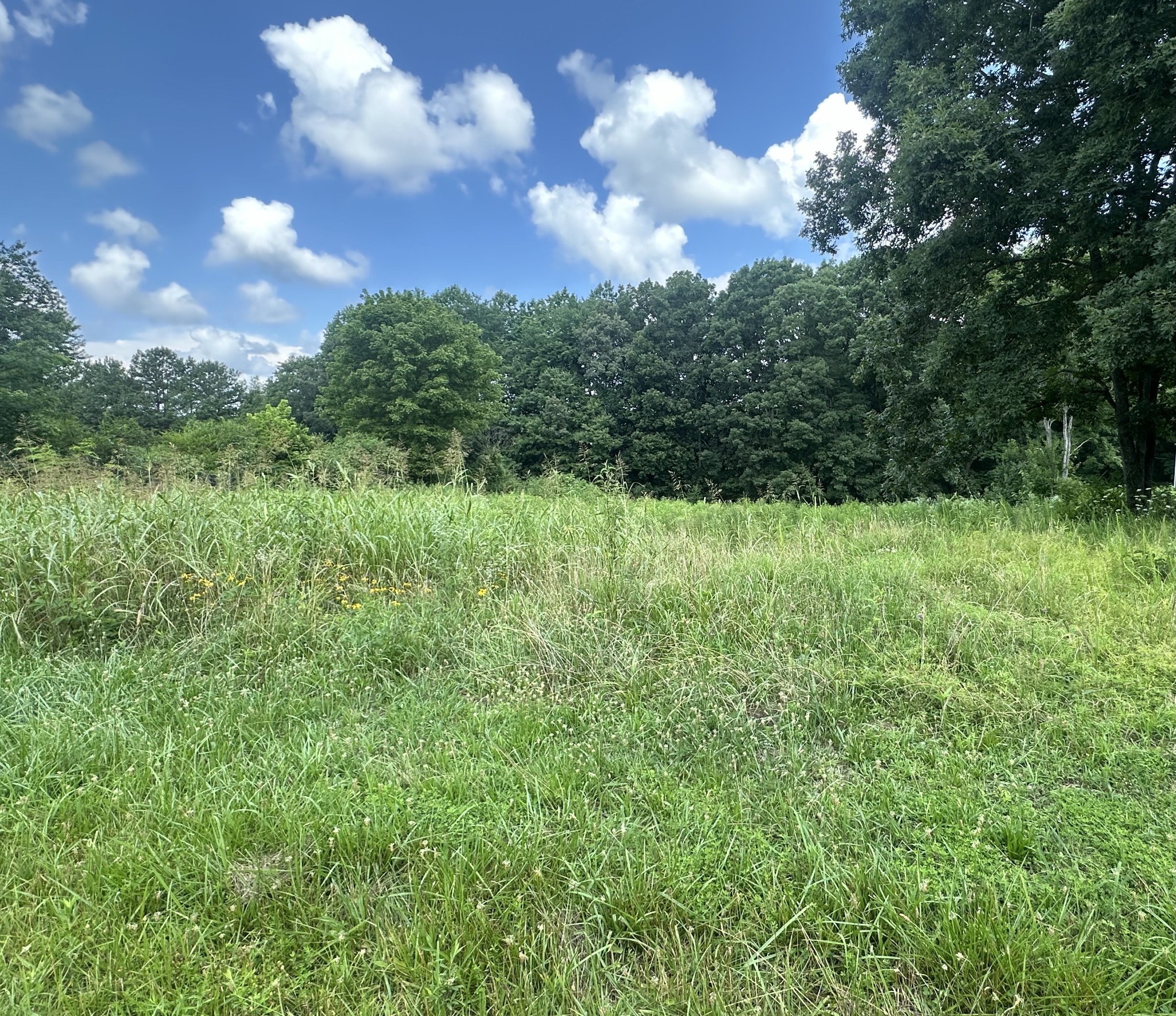 0 White Oak Dr Property Photo 1