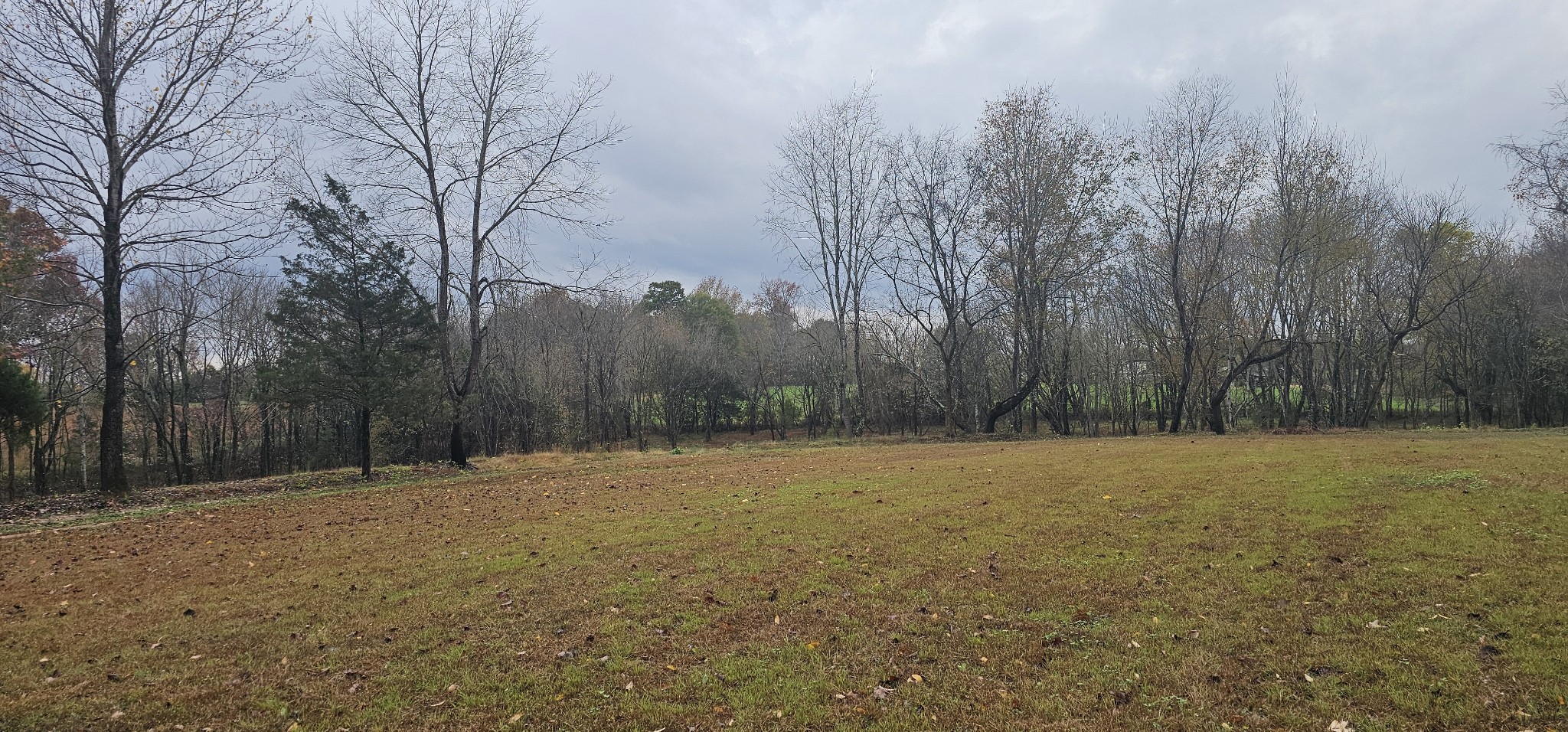 0 Poplar Ridge Ln Property Photo 1