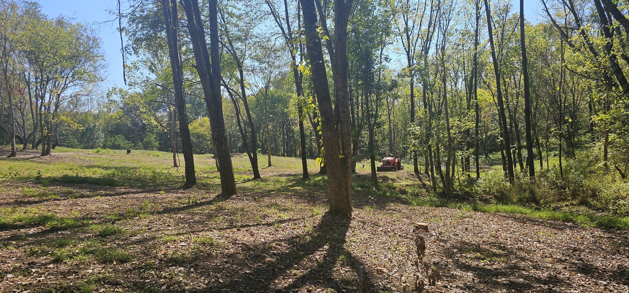0 Poplar Ridge Ln Property Photo 3