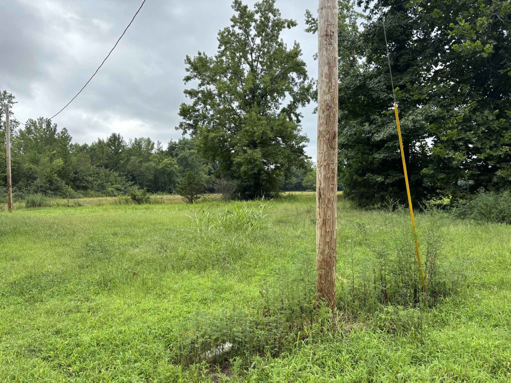 0 Dailey Loop Property Photo 1