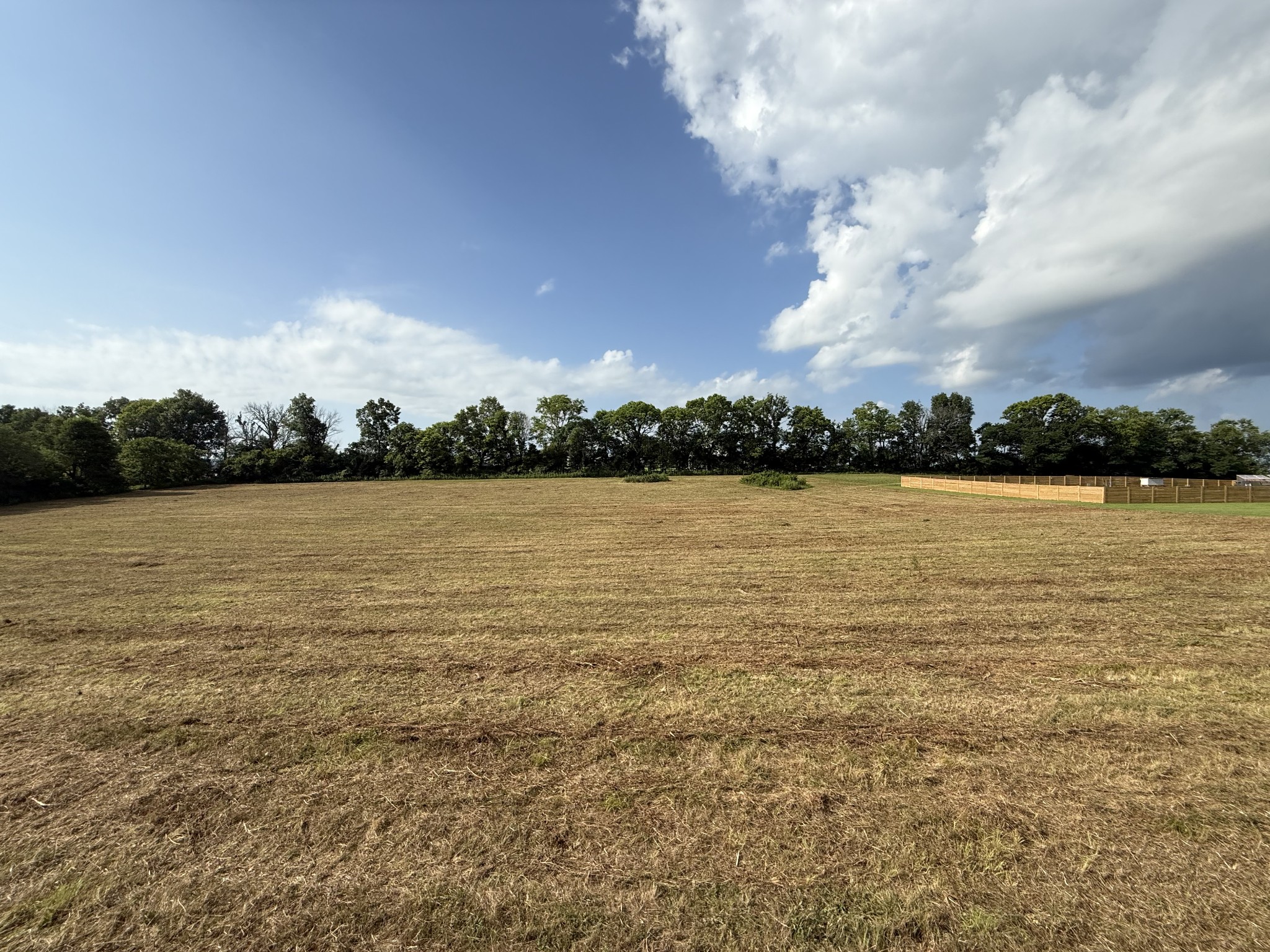 0 Highway 231 North Property Photo 3