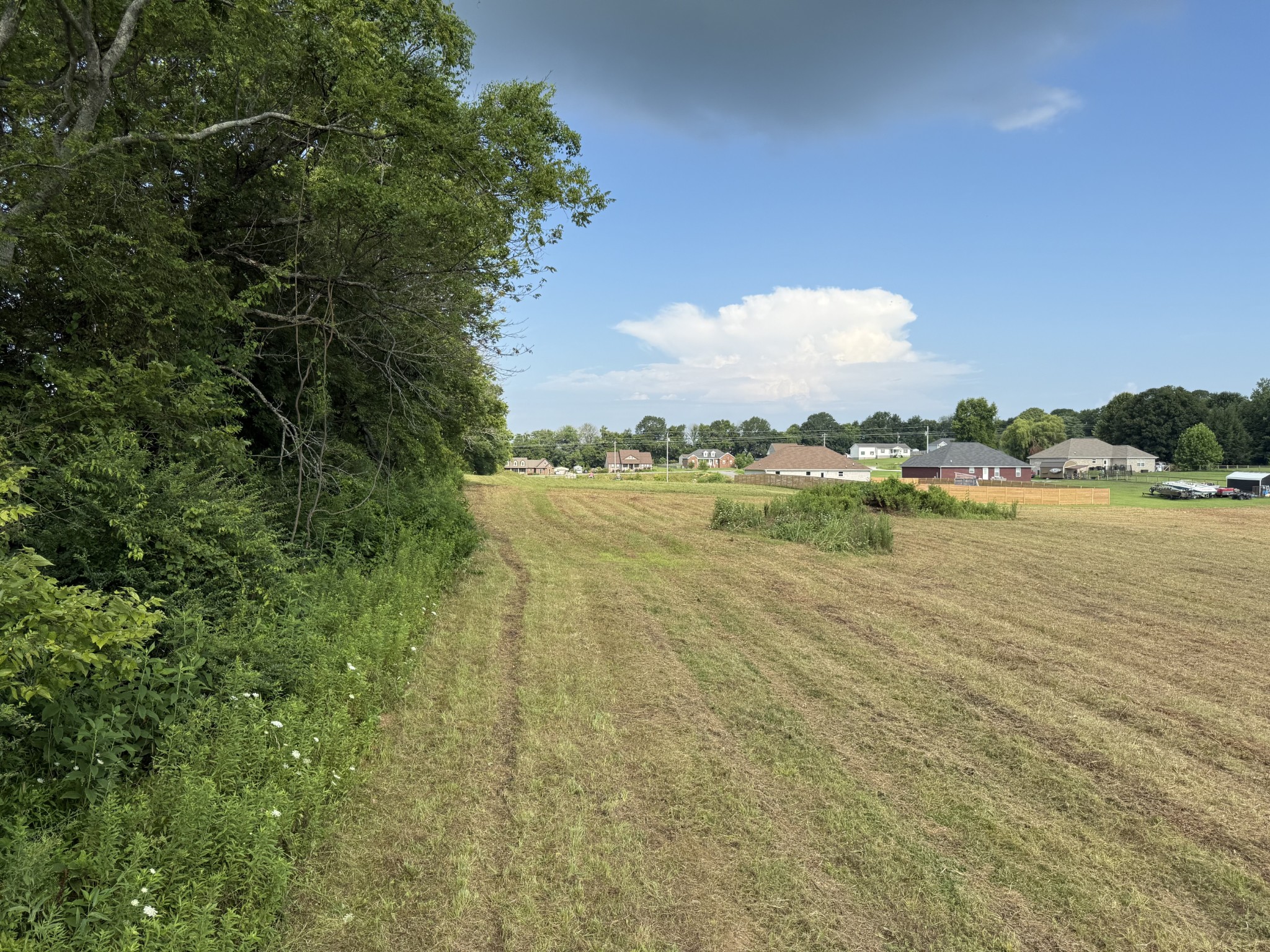 0 Highway 231 North Property Photo 7