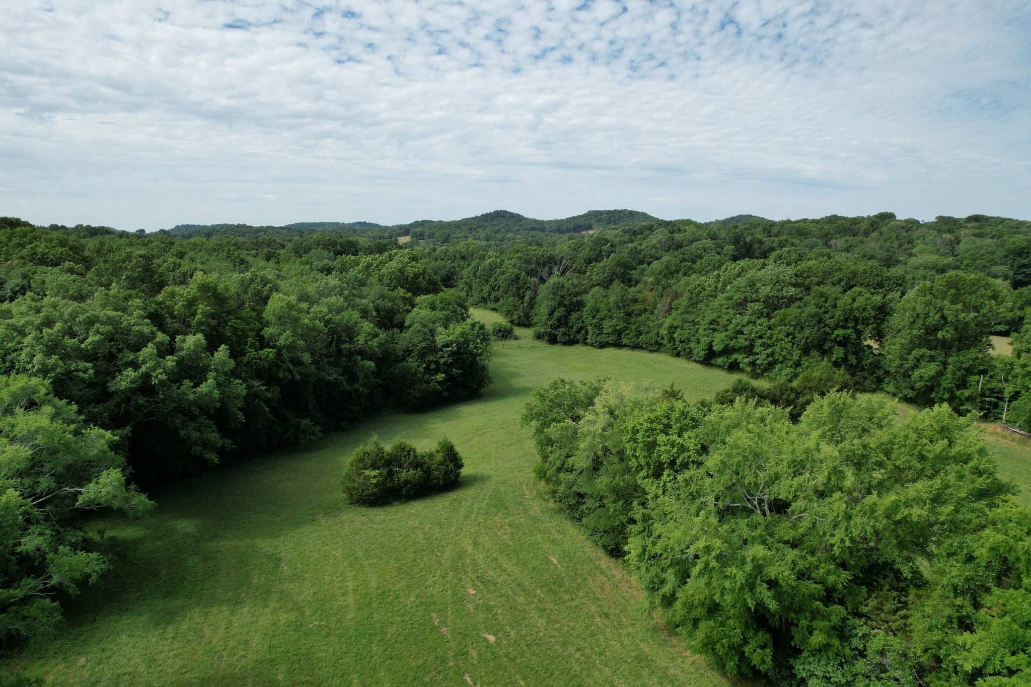 5012 Haven Hollow Pvt Lane Property Photo 7